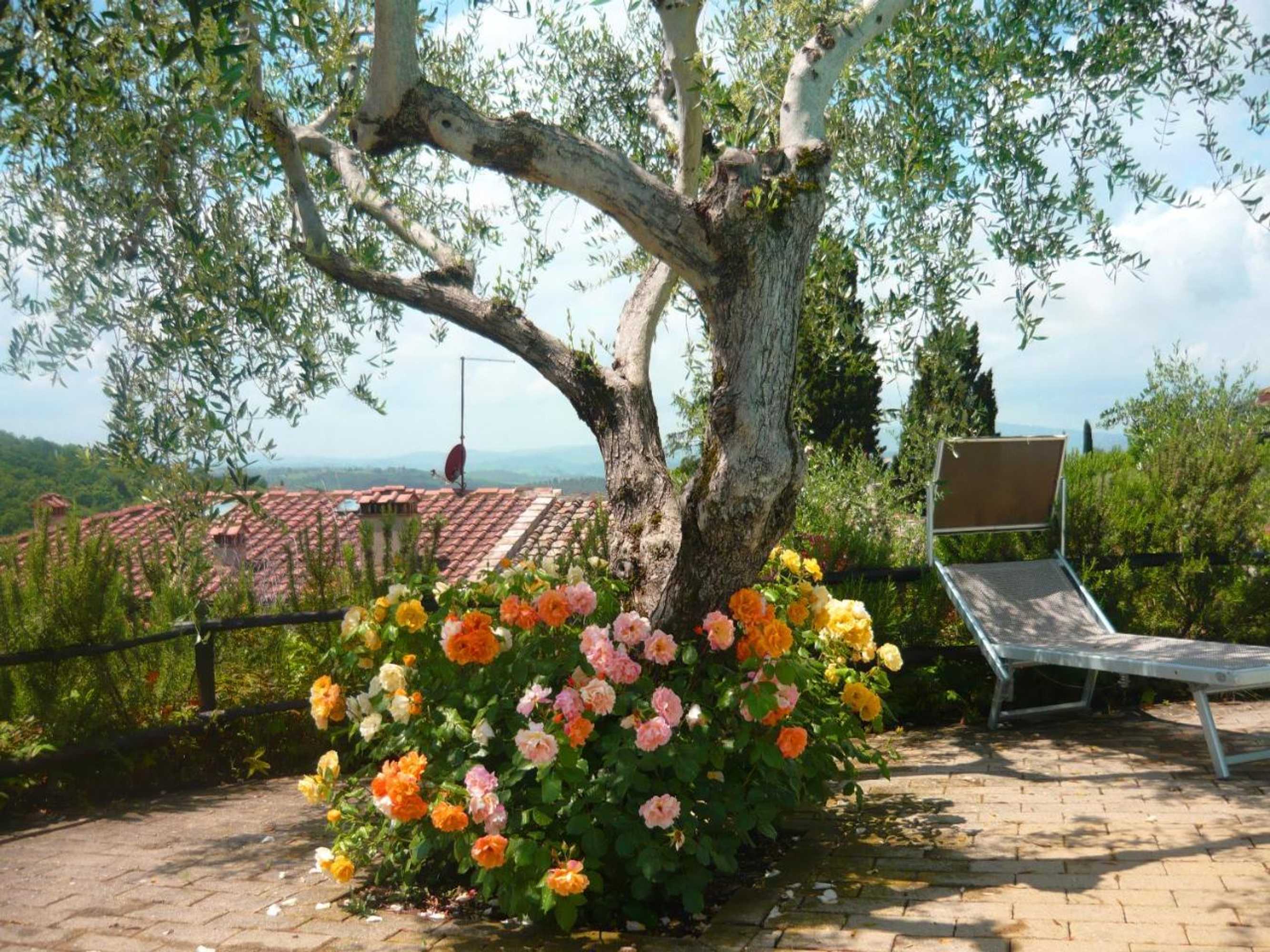 Gift card for Podere Oliveta