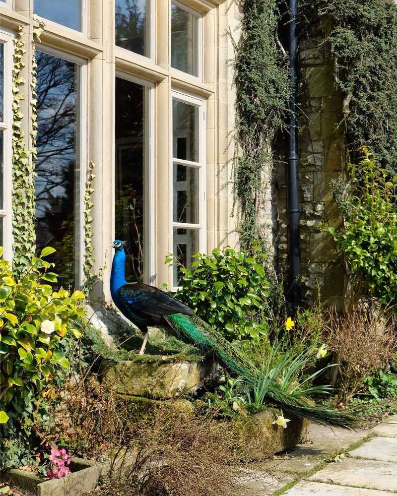 Gift card for Simonstone Hall Hotel Gift card for Simonstone Hall Hotel