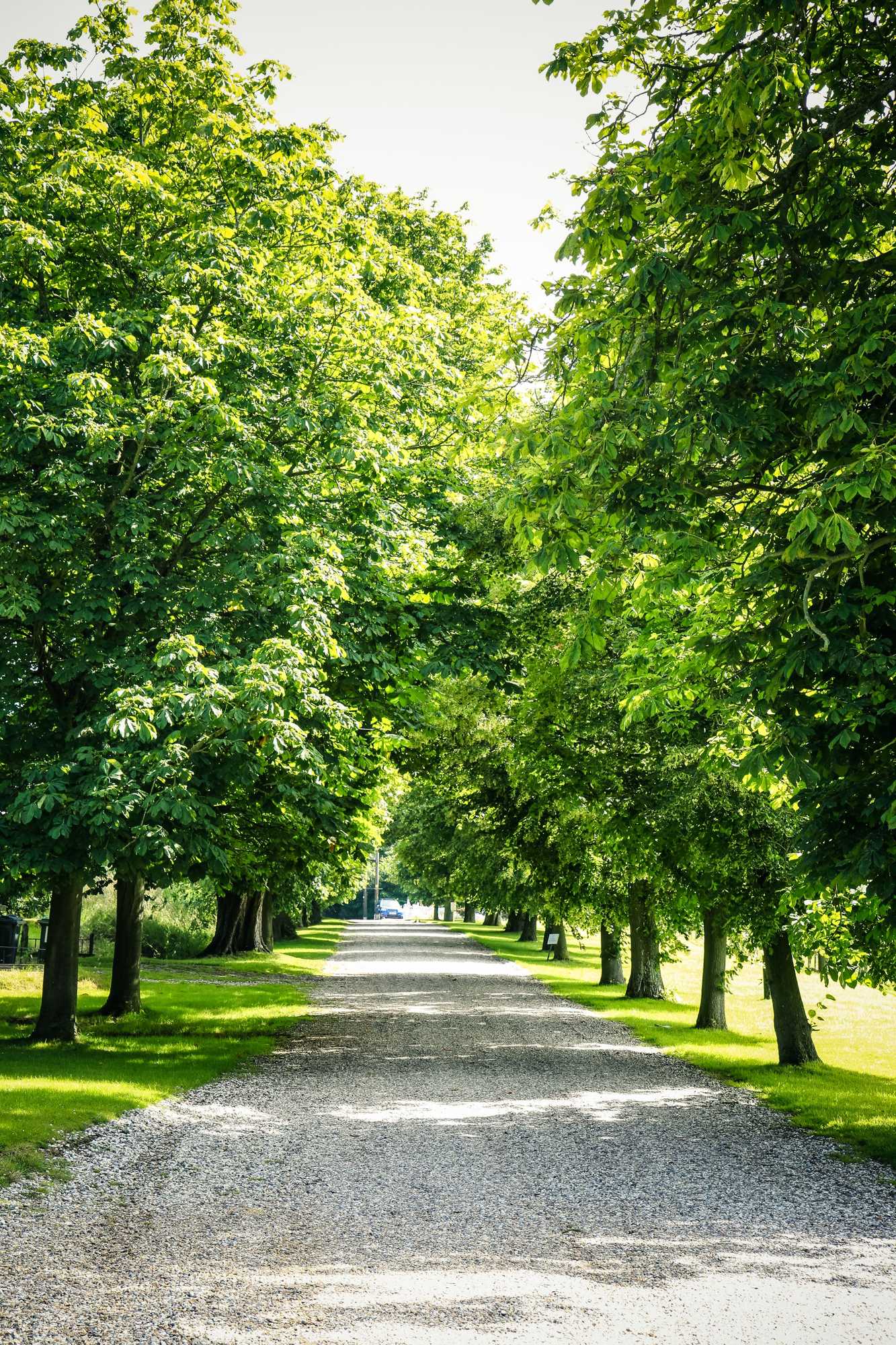 Gift card for Sturmer Hall Hotel & Conference Centre Gift card for Sturmer Hall Hotel & Conference Centre