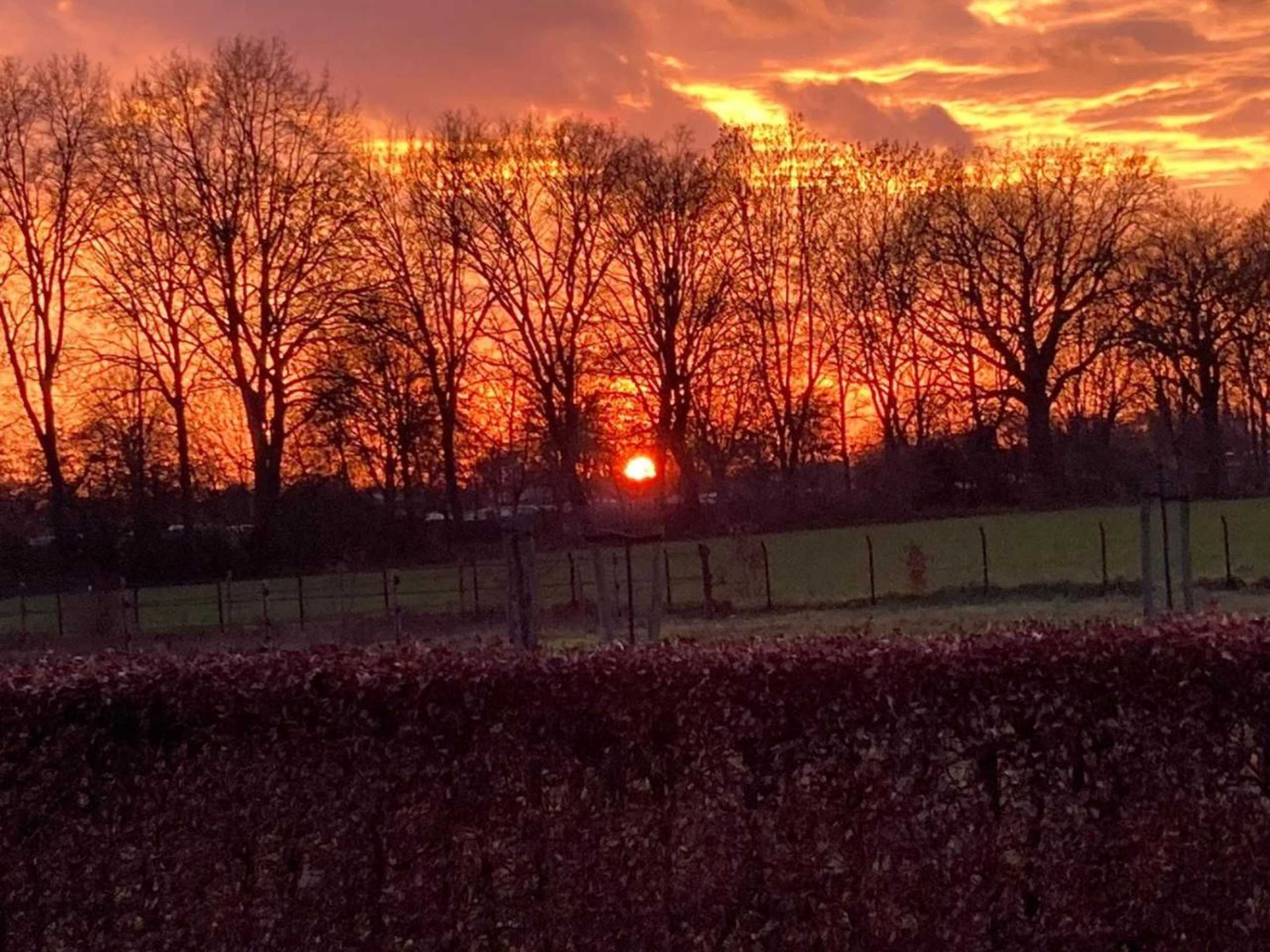 Gift card for Vakantie Bij Meeussen - Molendal