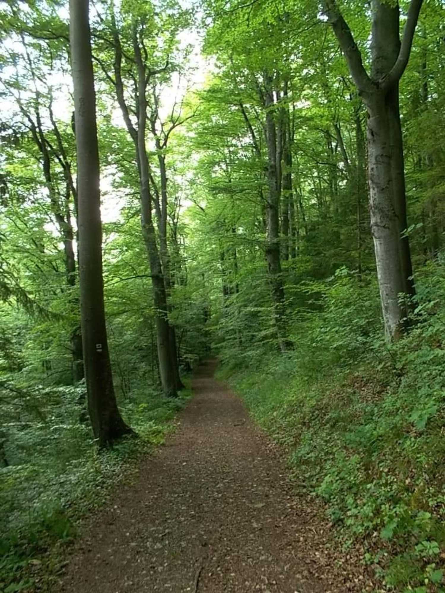 Gift card for Hotel Schiff Nagold