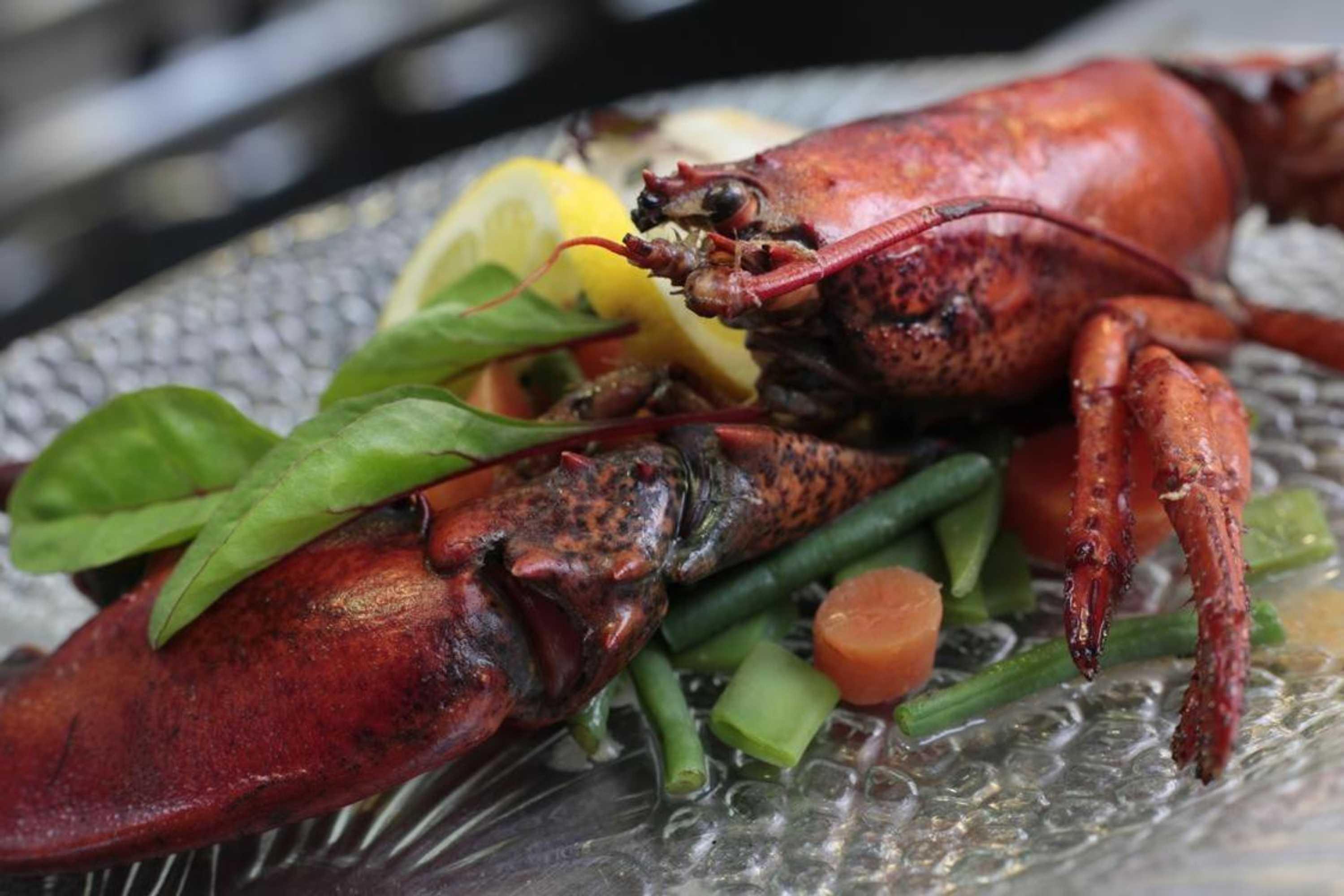 Gift card for Herberg Restaurant 't Zwaantje