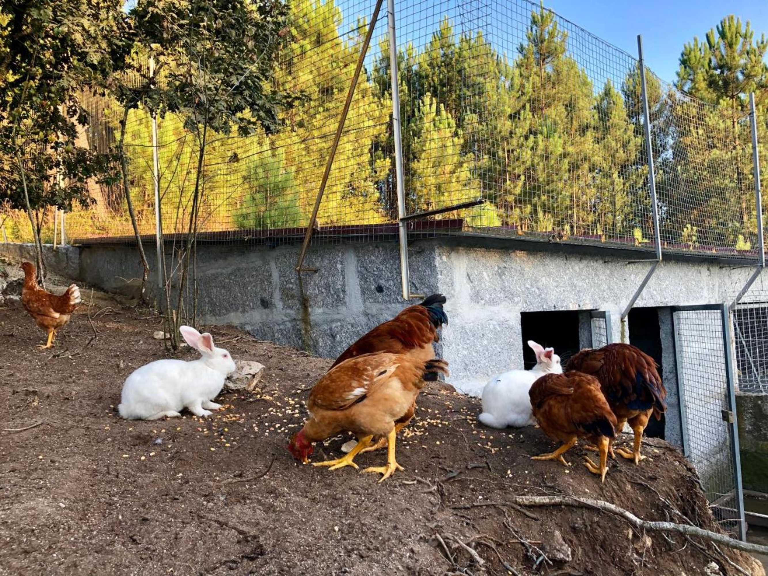 Gift card for Casa da Quinta da Prelada Simão