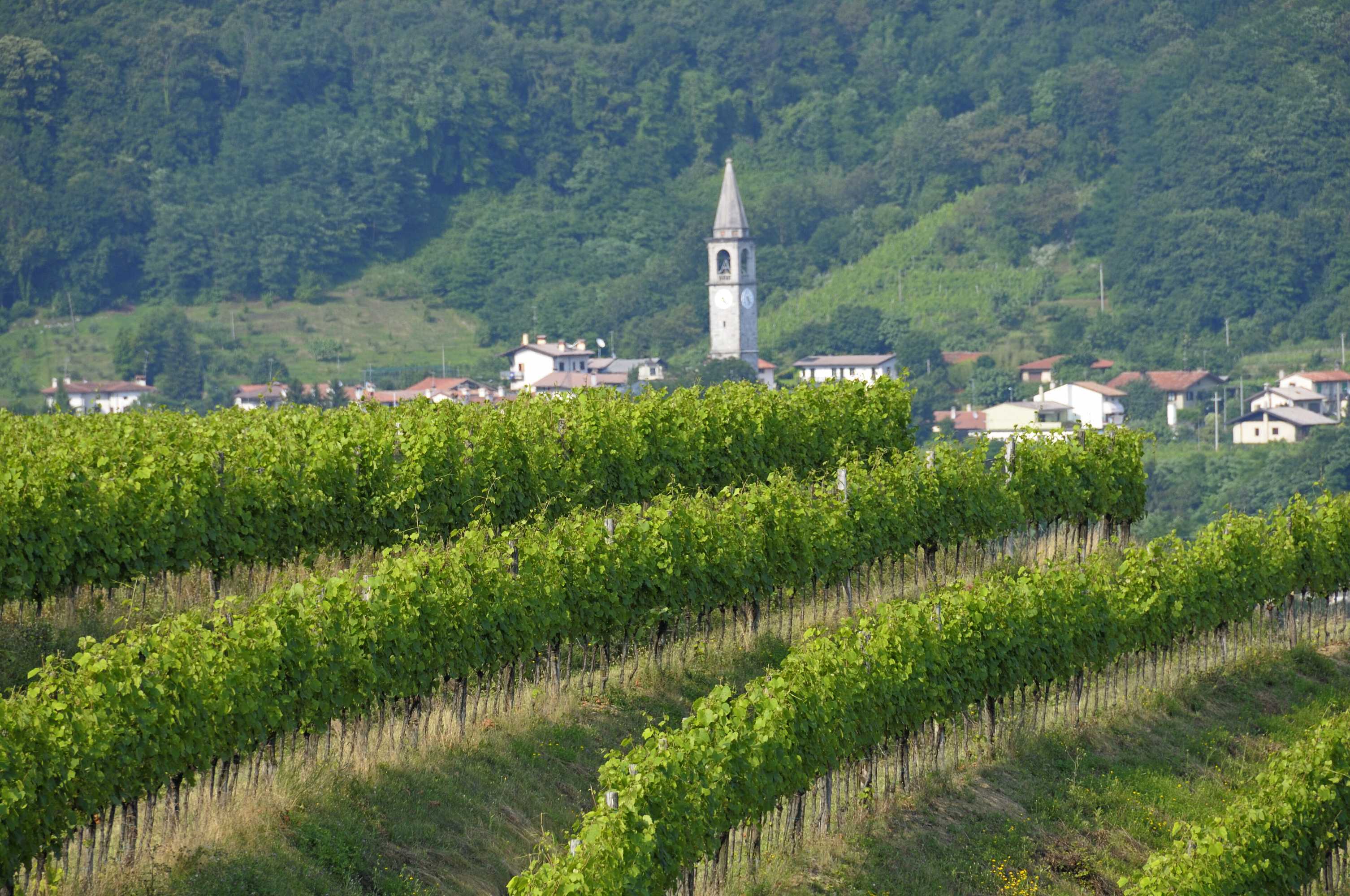 Gift card for Agriturismo I Comelli