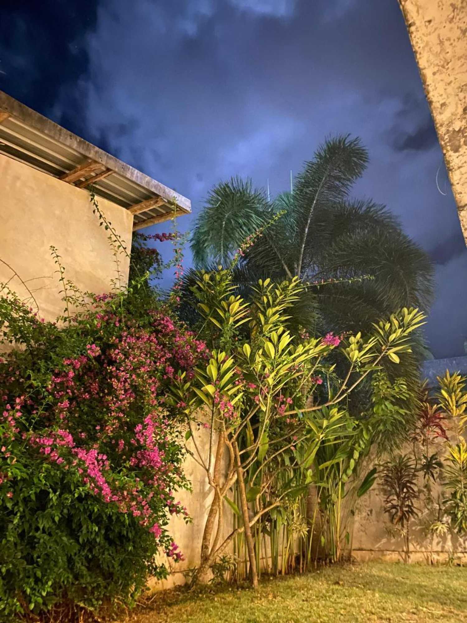 Gift card for Palm Green Hotel