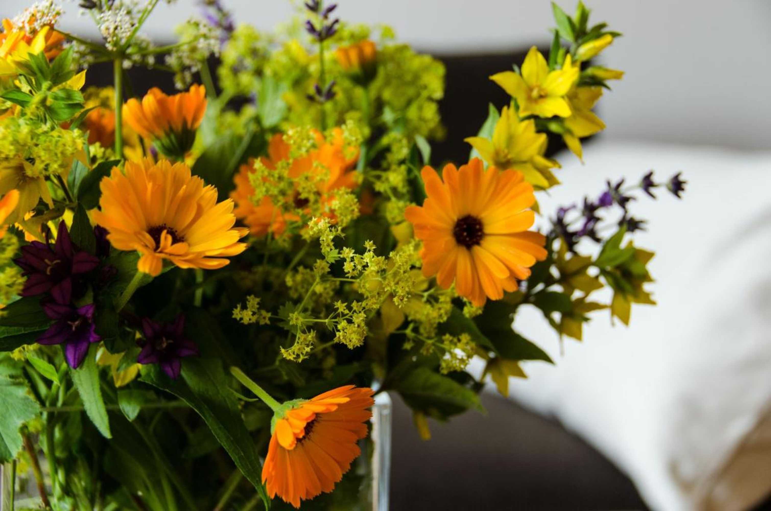 Gift card for Bodensee-Ferienwohnung Am Ruggbach