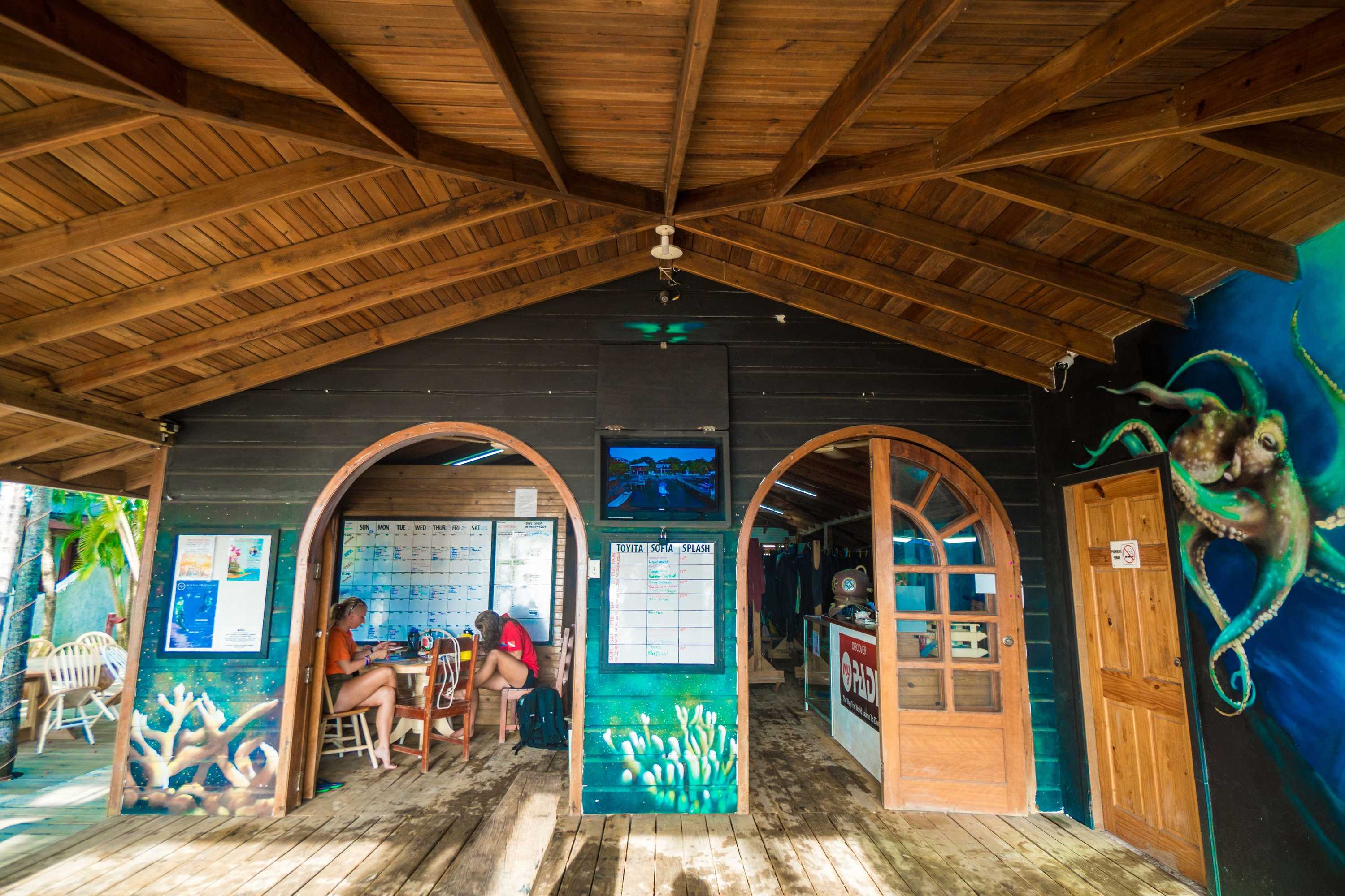 Gift card for Splash Inn Dive Resort & Villas Gift card for Splash Inn Dive Resort & Villas
