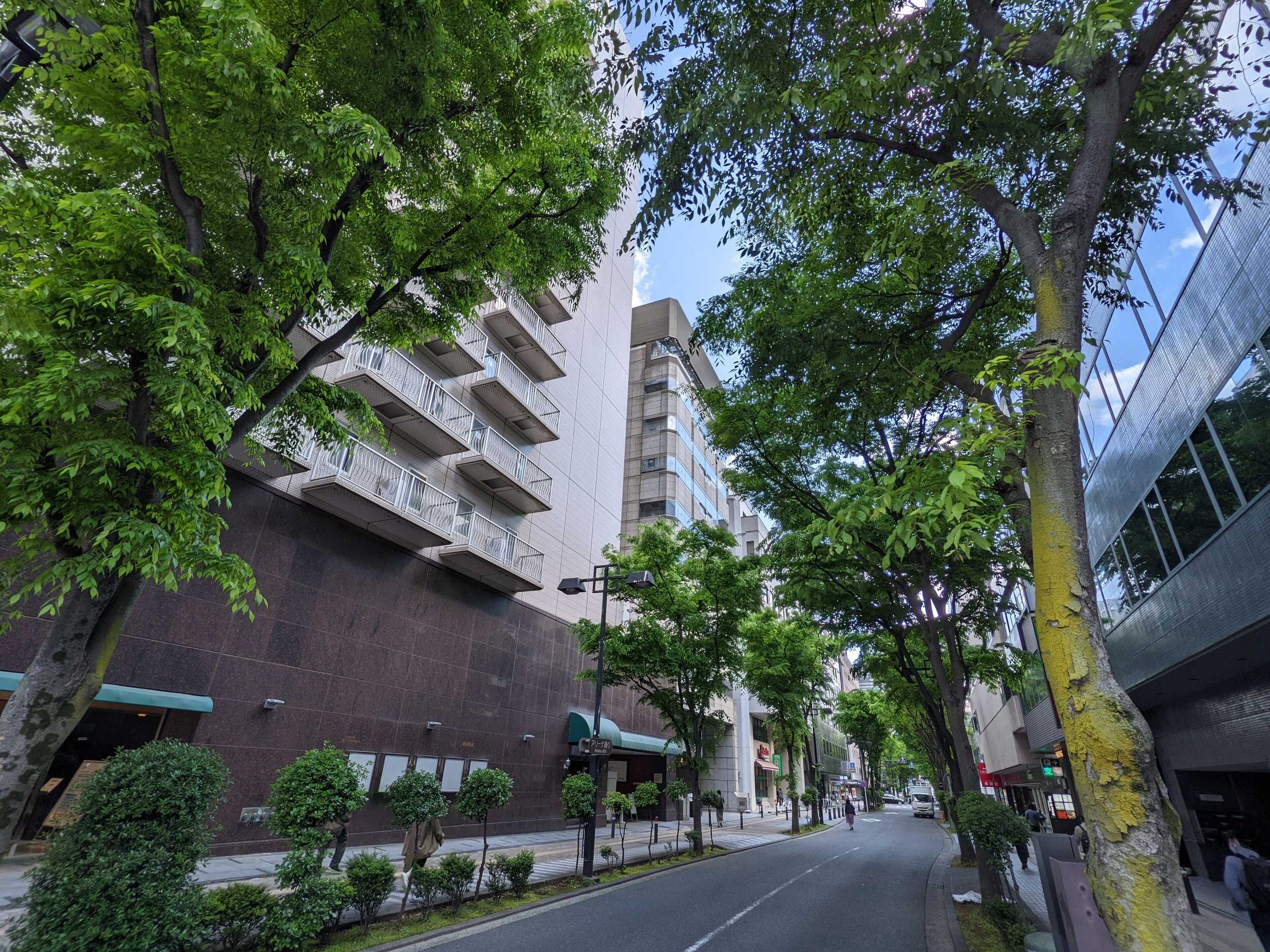 Gift card for Shin Yokohama Kokusai Hotel Gift card for Shin Yokohama Kokusai Hotel
