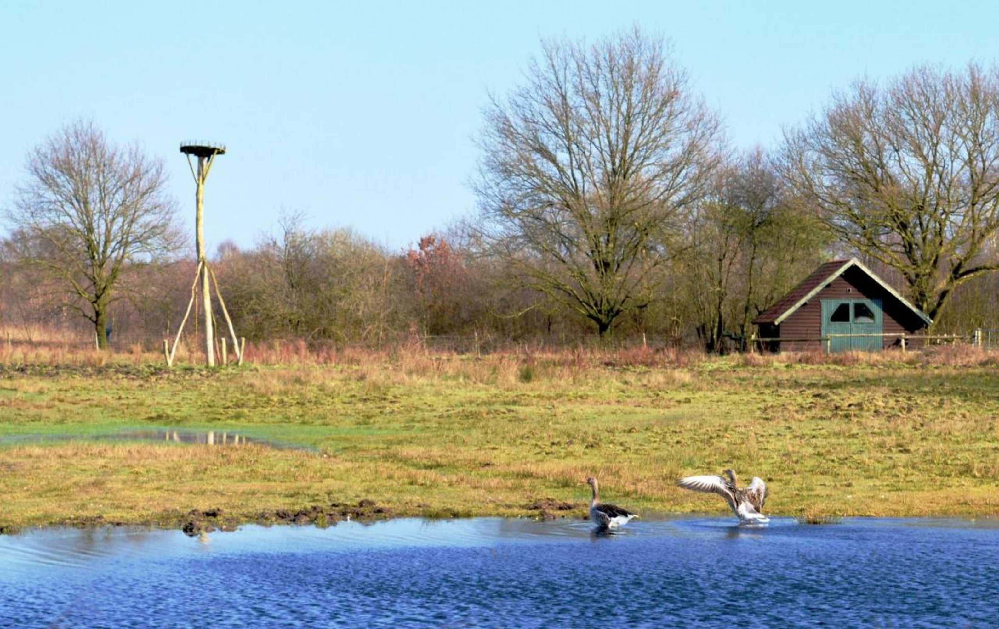 Gift card for Bed & Breakfast Maryland