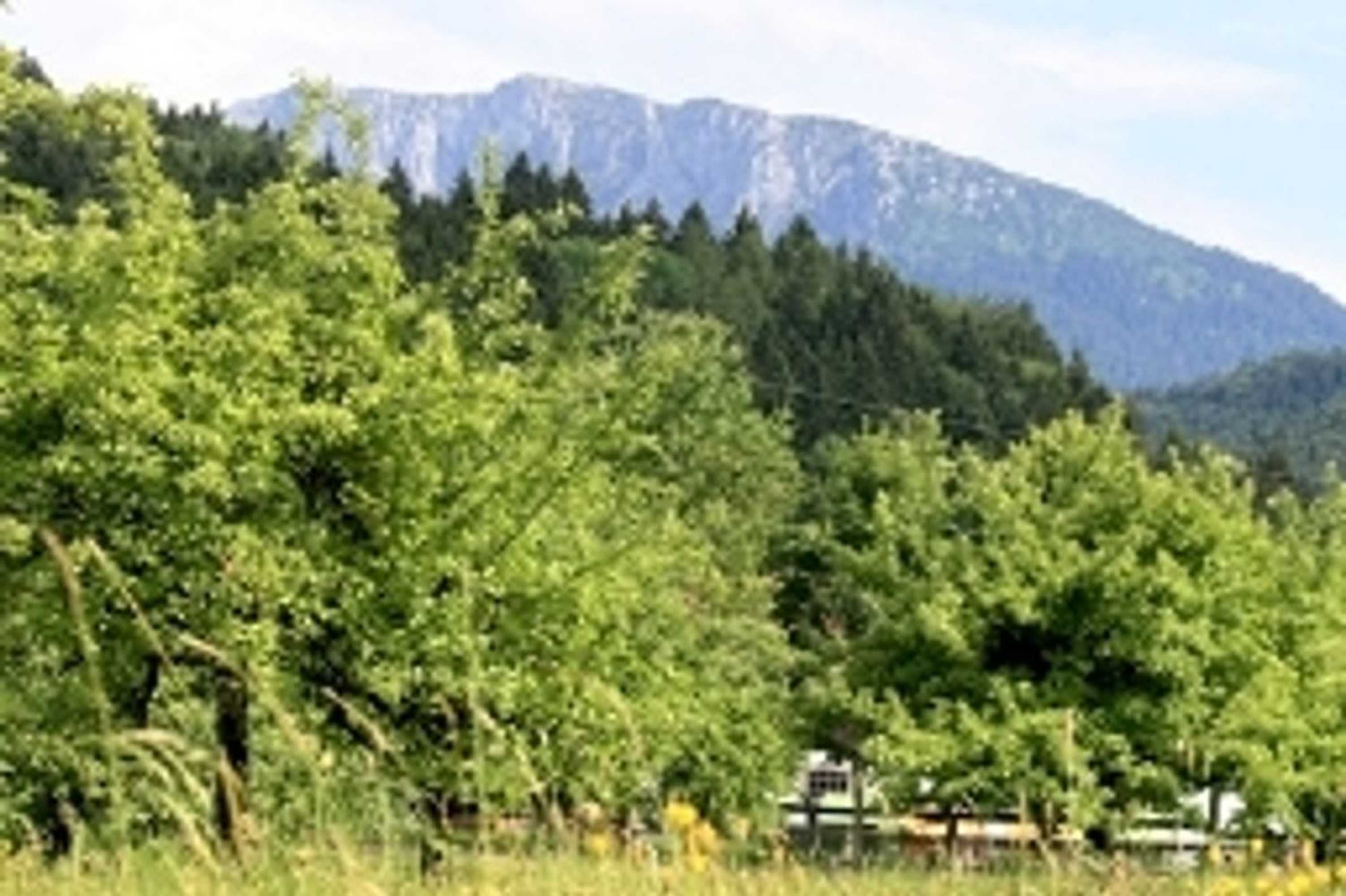 Gift card for Hotel Friedenseiche