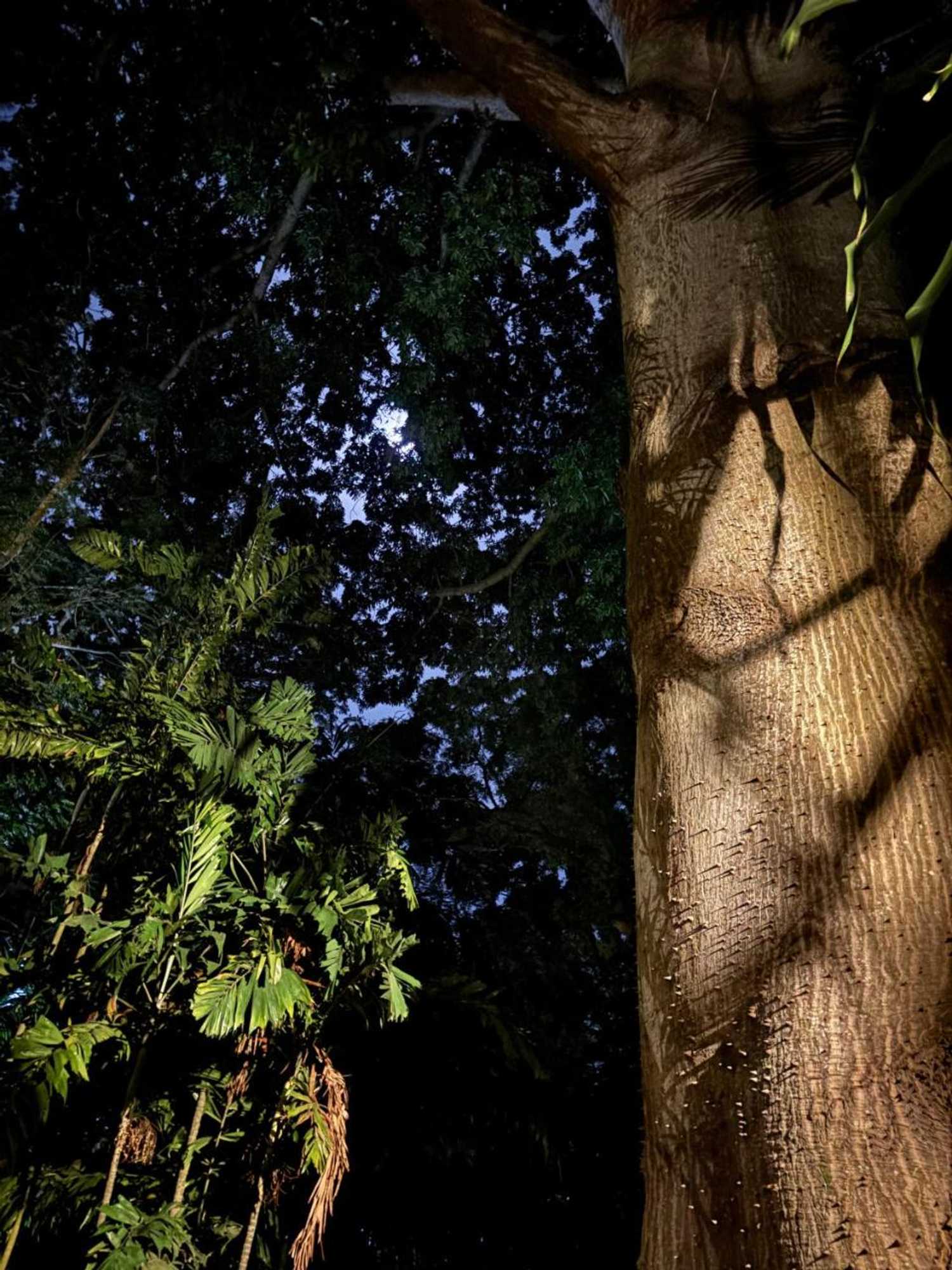 Gift card for Mbweni Ruins & Gardens