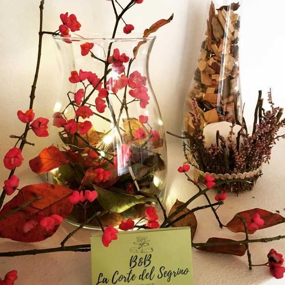 Gift card for B&b La Corte Del Segrino