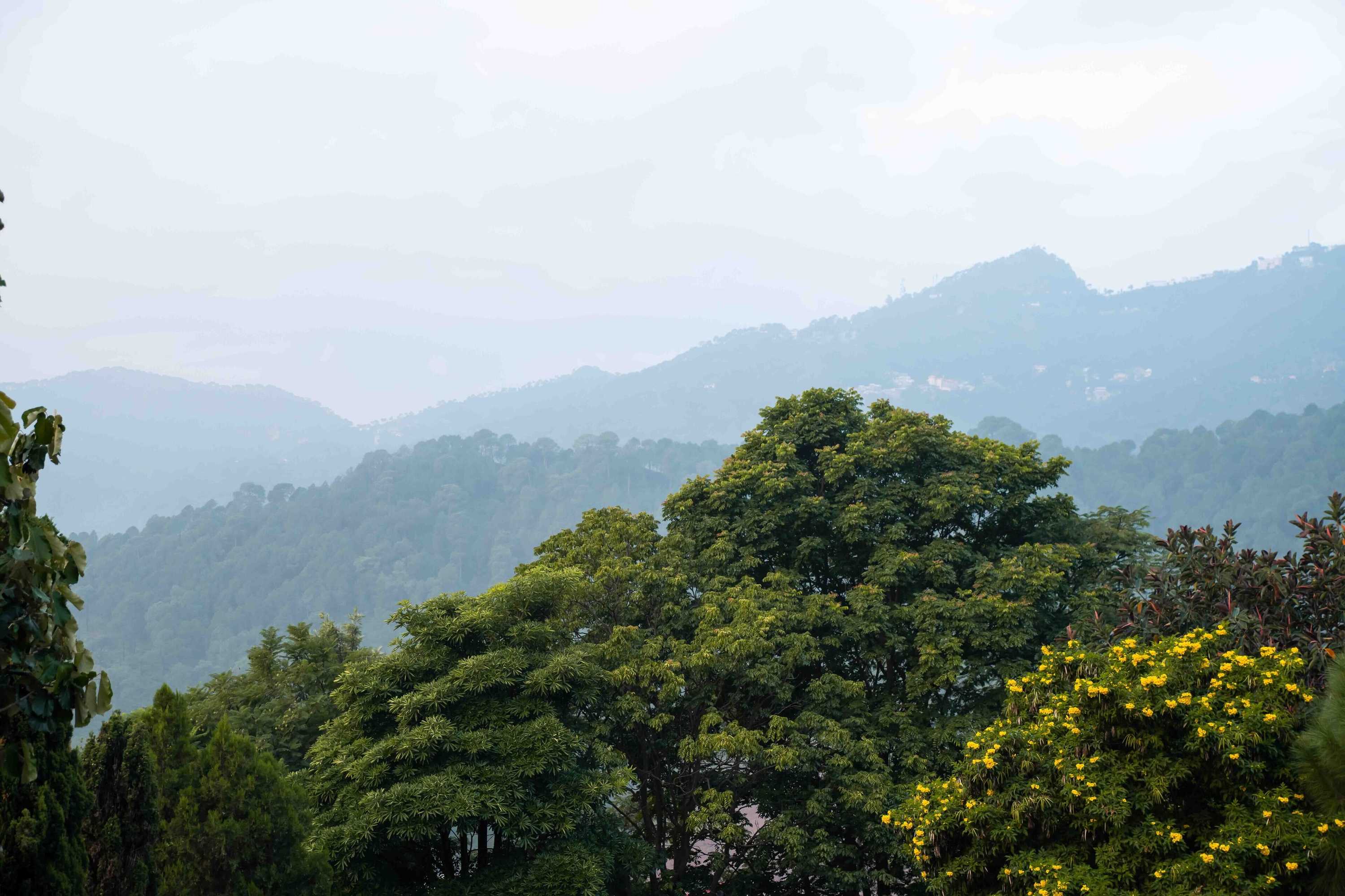 Gift card for The Fern Surya Resort Kasauli Hills Dharampur Gift card for The Fern Surya Resort Kasauli Hills Dharampur