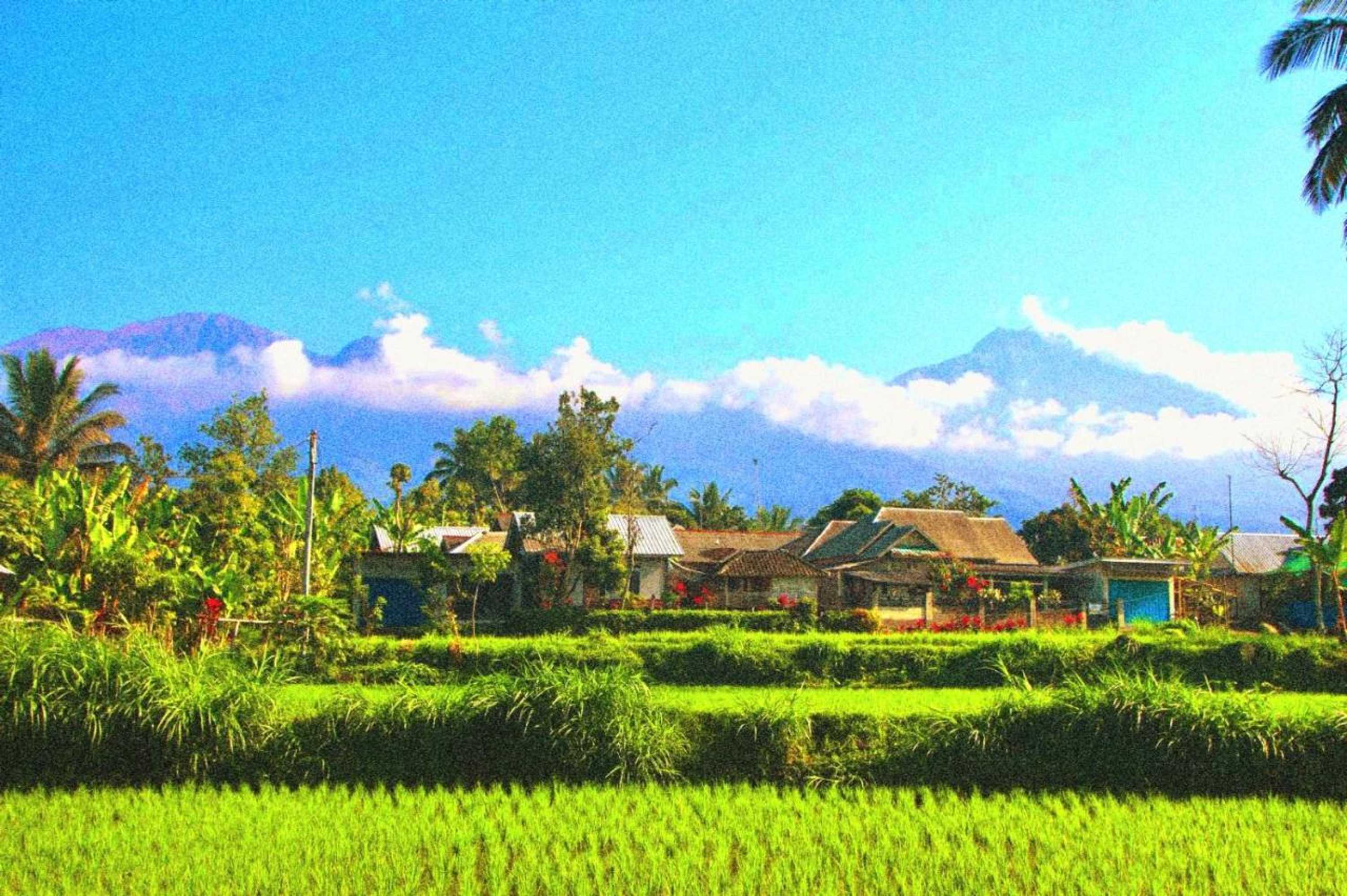 Gift card for Ariel Bungalow Tetebatu