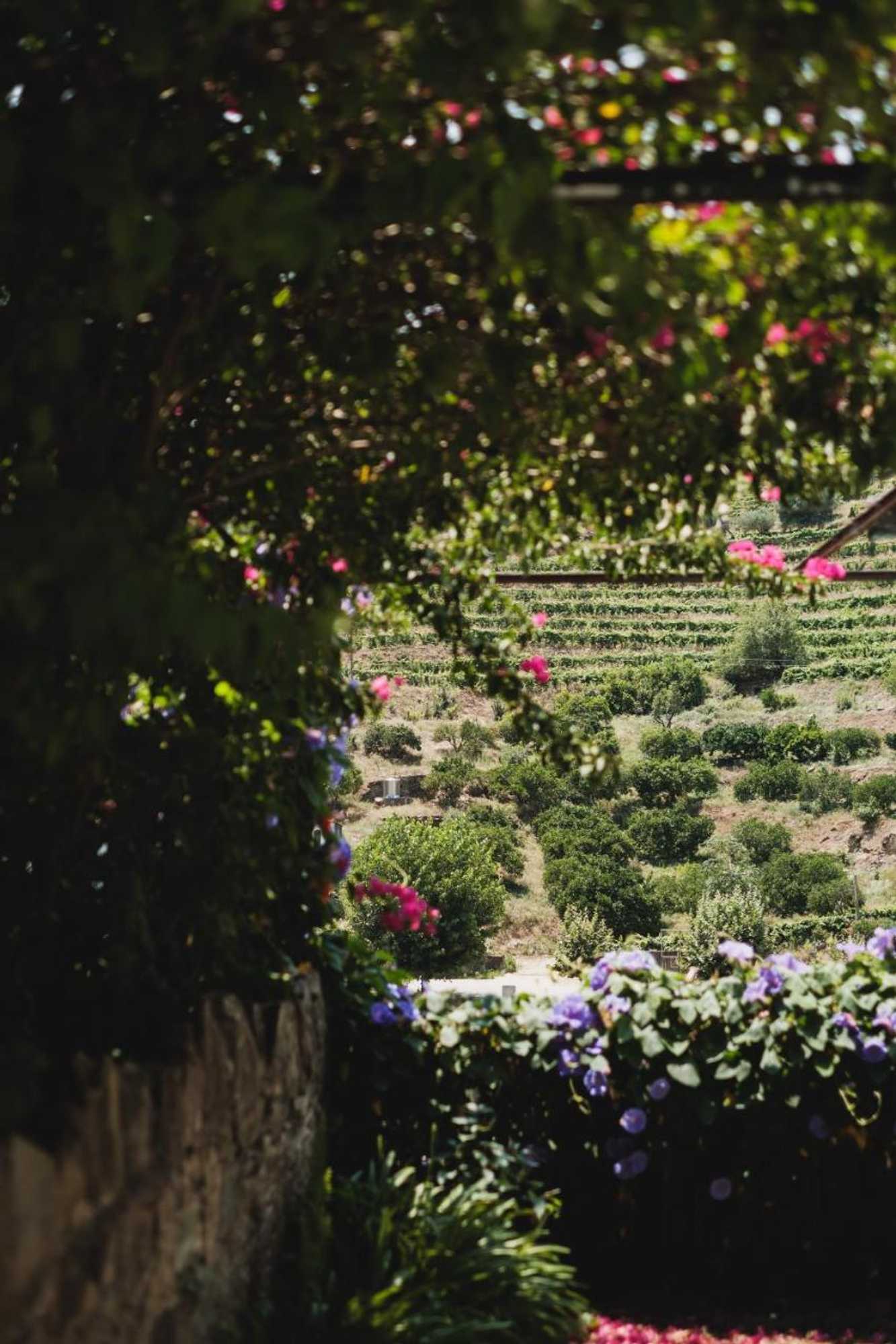 Gift card for Quinta da Travessa