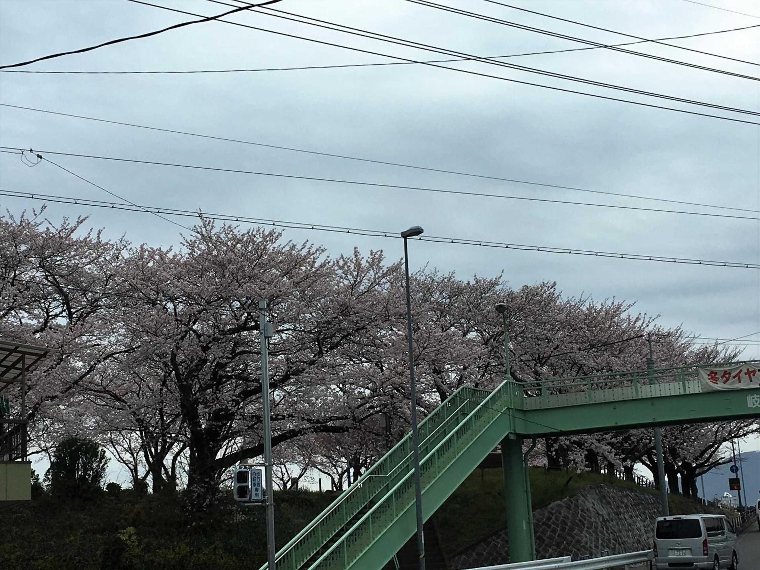 Gift card for Guesthouse Kiten - Hostel