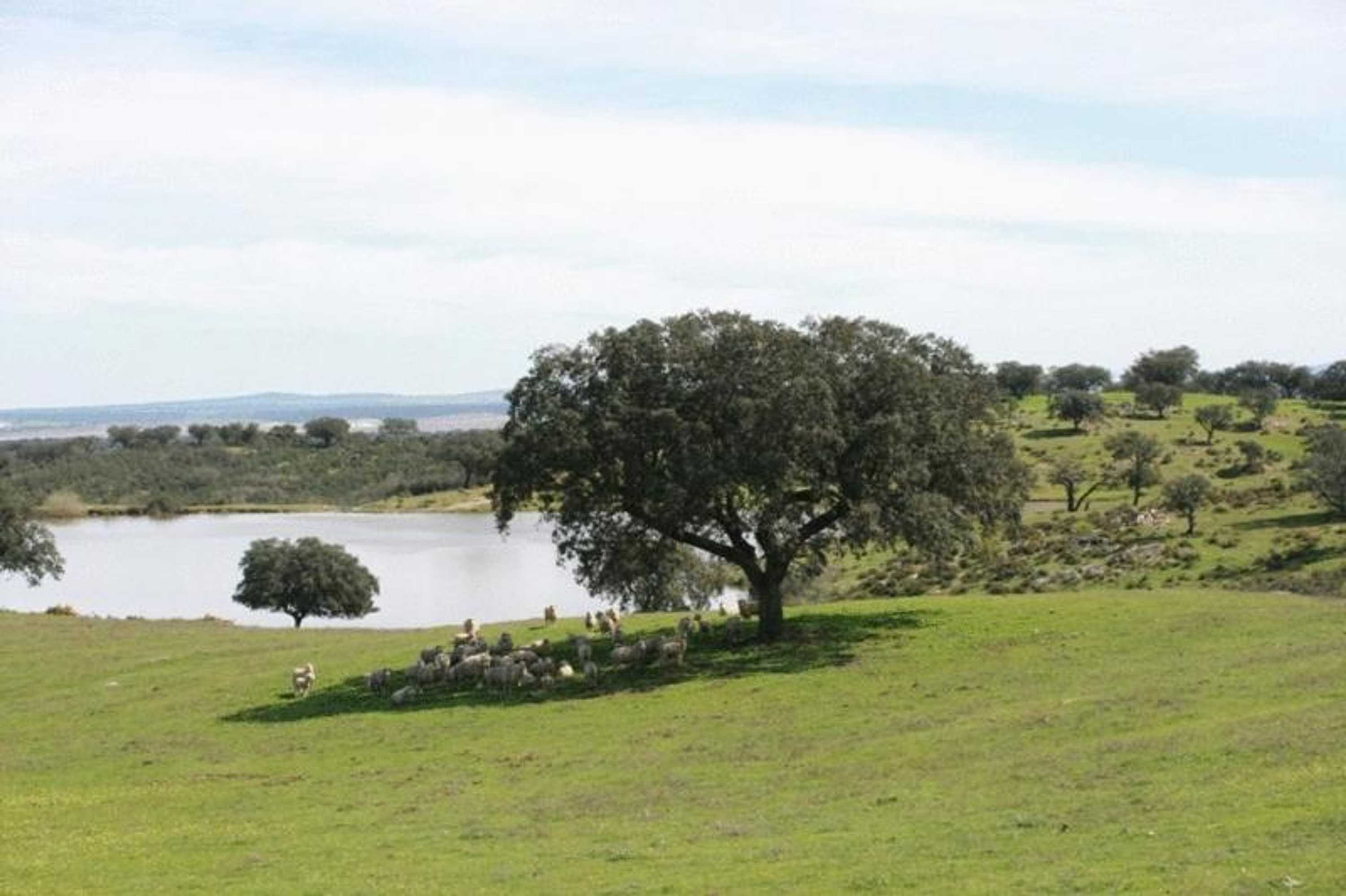 Gift card for Naveterra-Hotel Rural