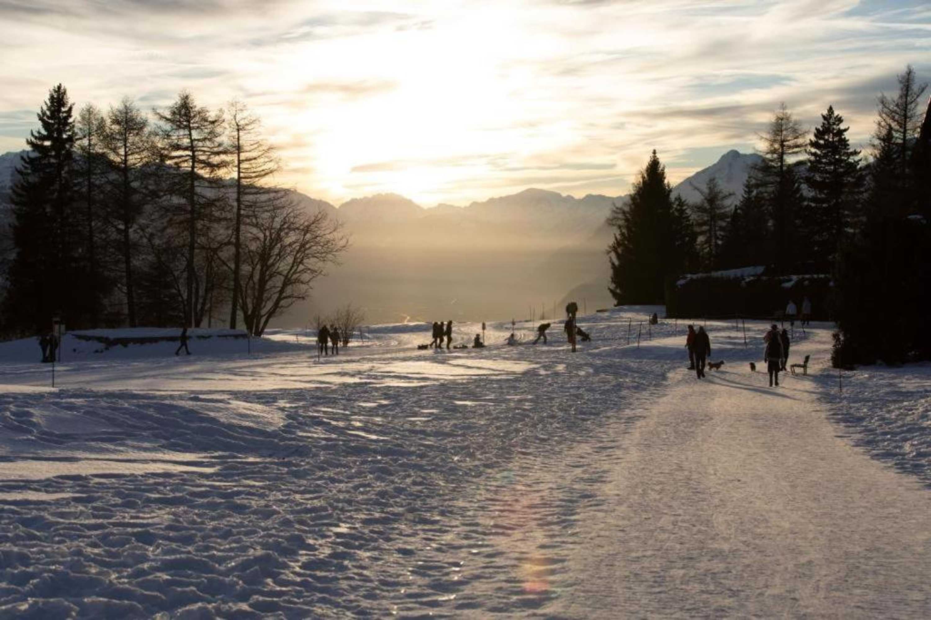 Gift card for Sport Palace