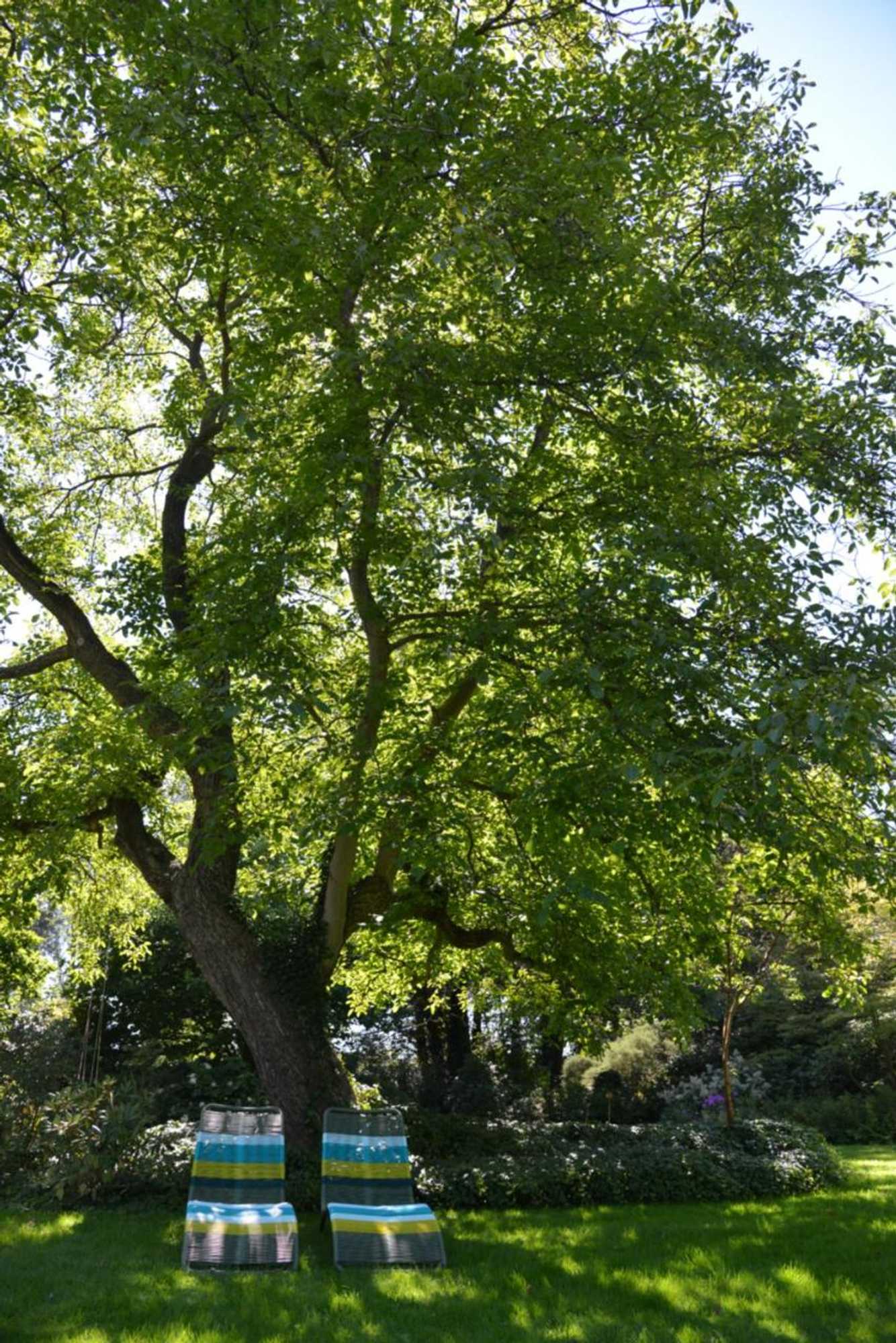 Gift card for Gastenverblijf 't Oelengoor