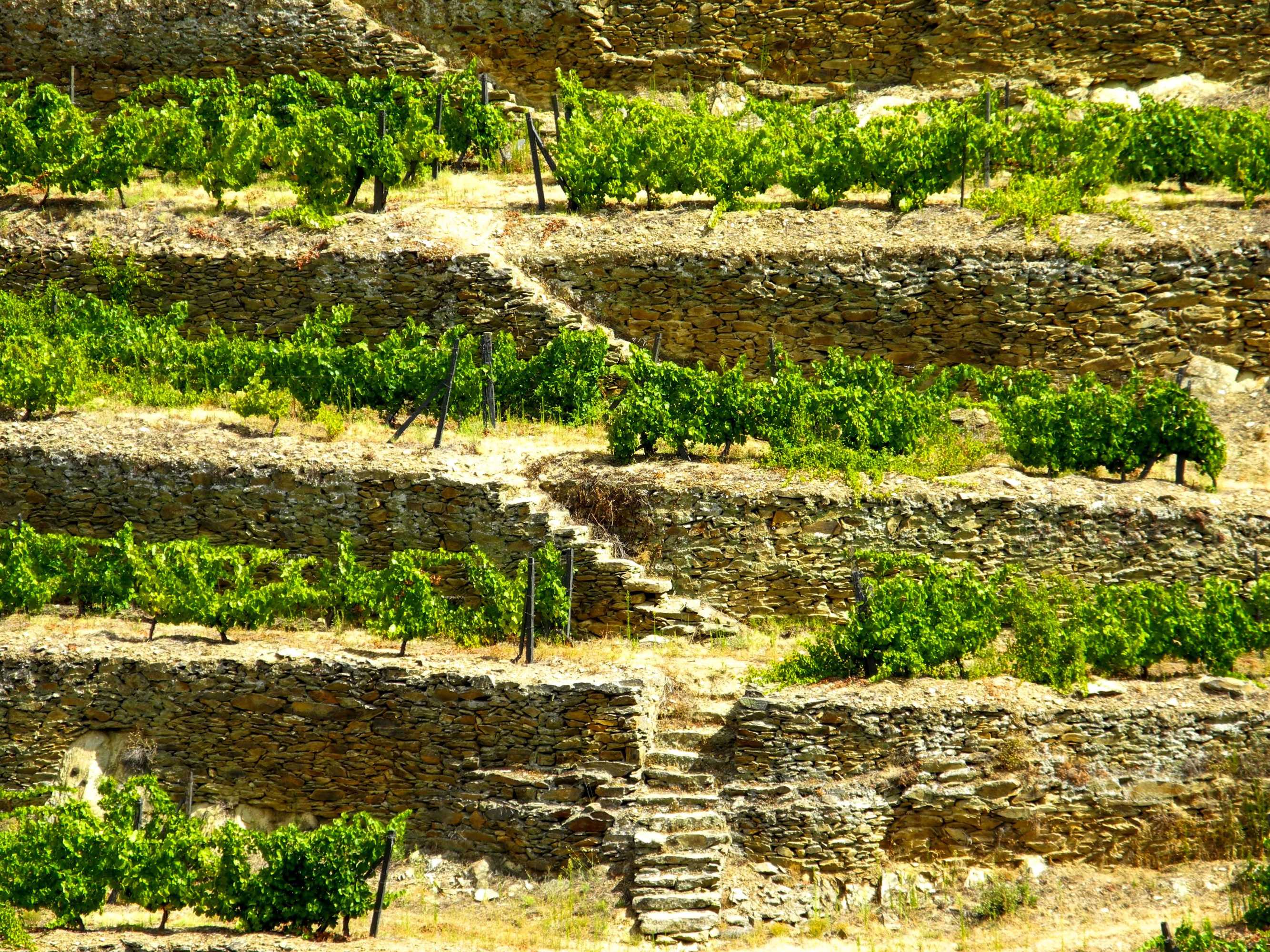 Gift card for Hotel Rural Quinta do Silval