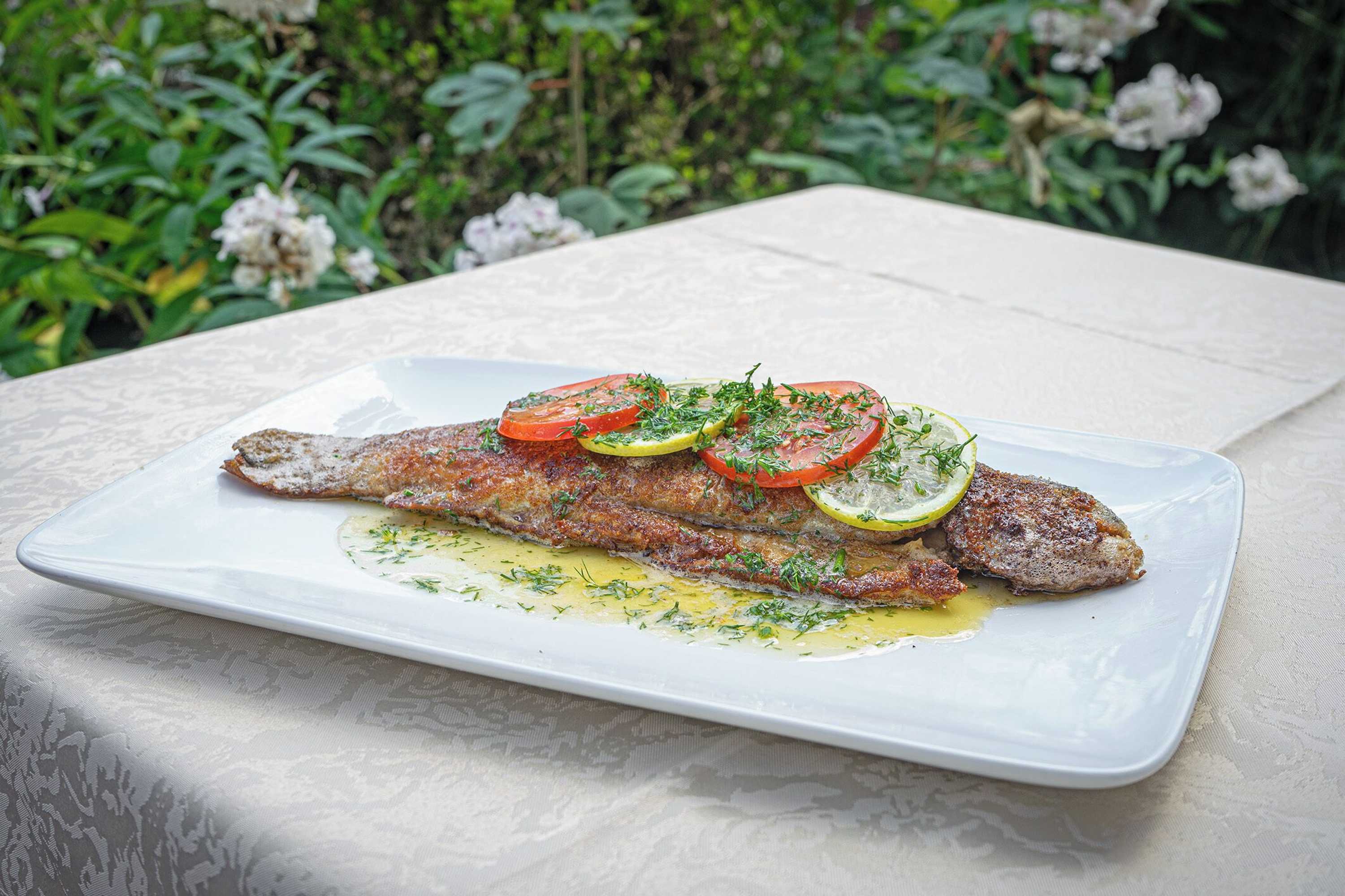 Gift card for Gasthof Pension Zur Traube