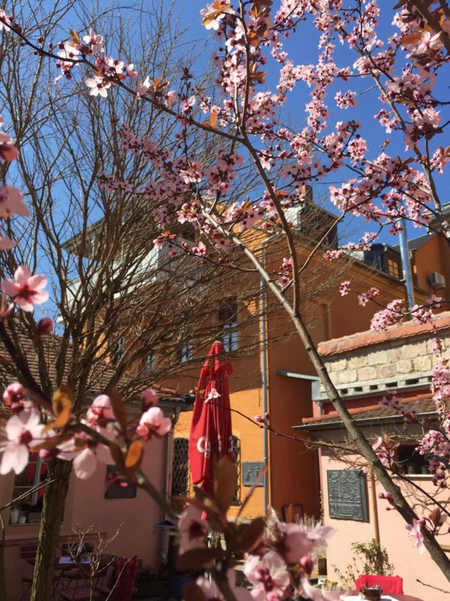 Gift card for Altes Handelshaus Plauen