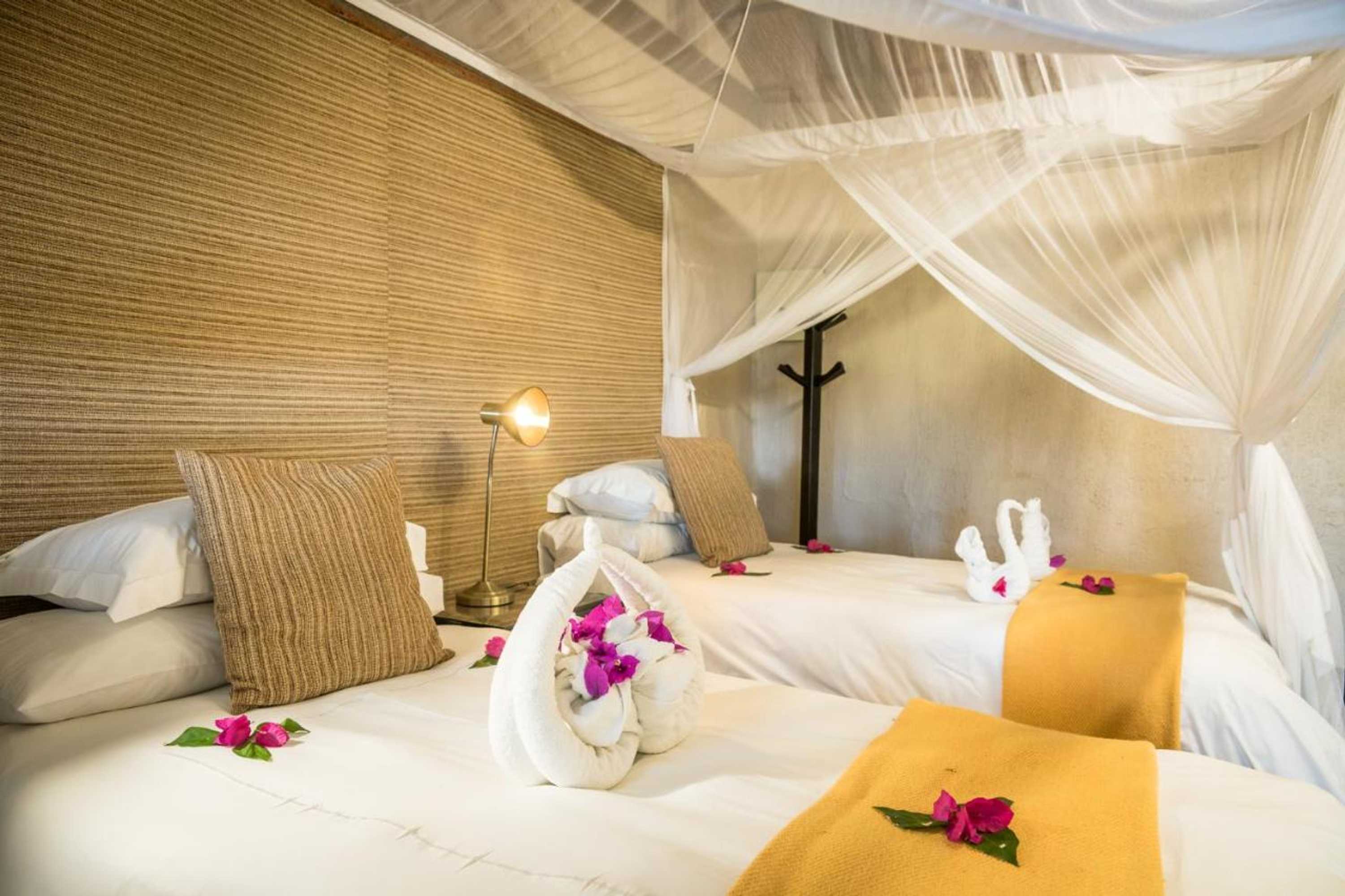 Gift card for Umkumbe Safari Lodge Riverside Gift card for Umkumbe Safari Lodge Riverside