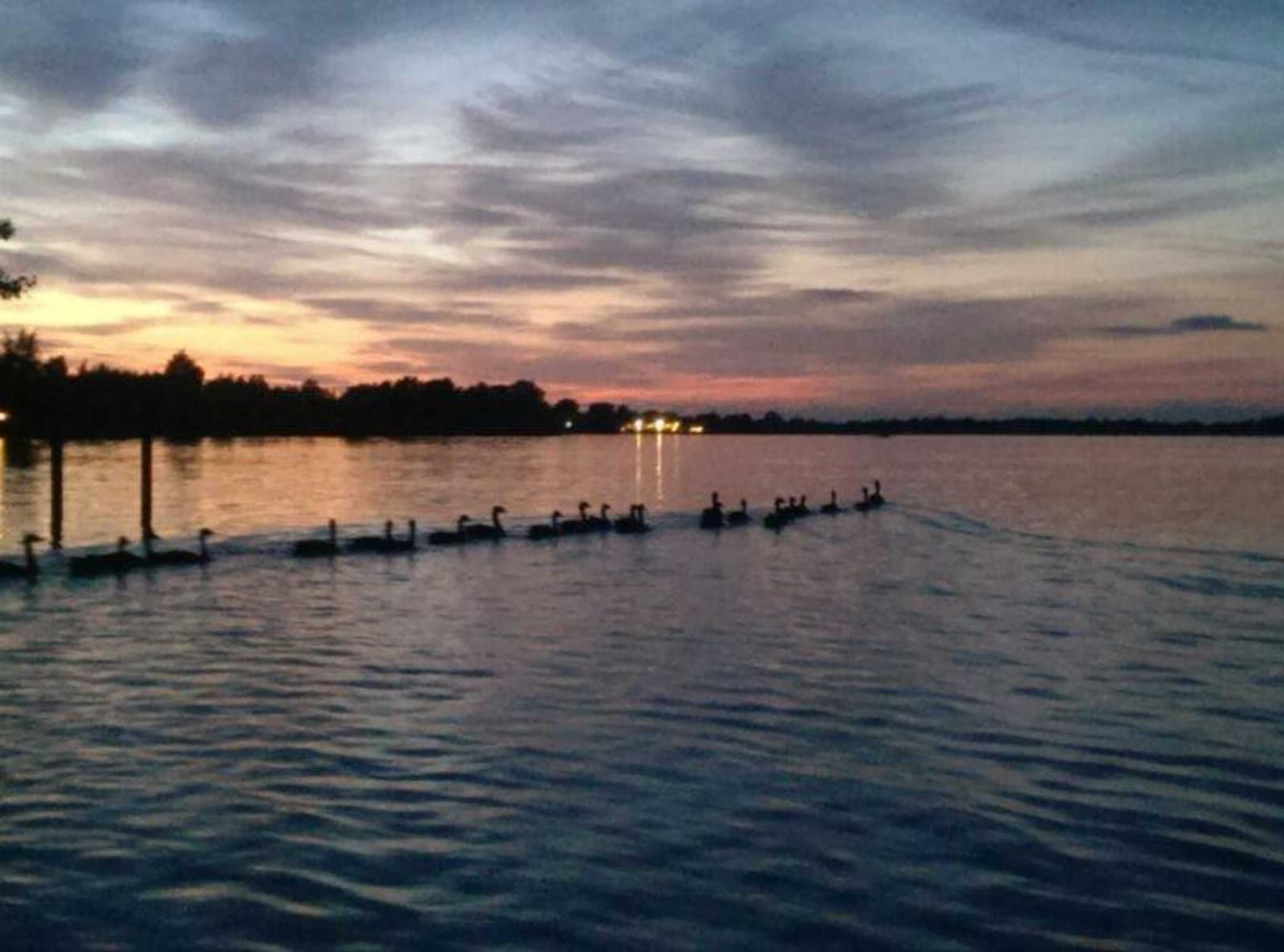 Gift card for Bed & Bike De Hofstee