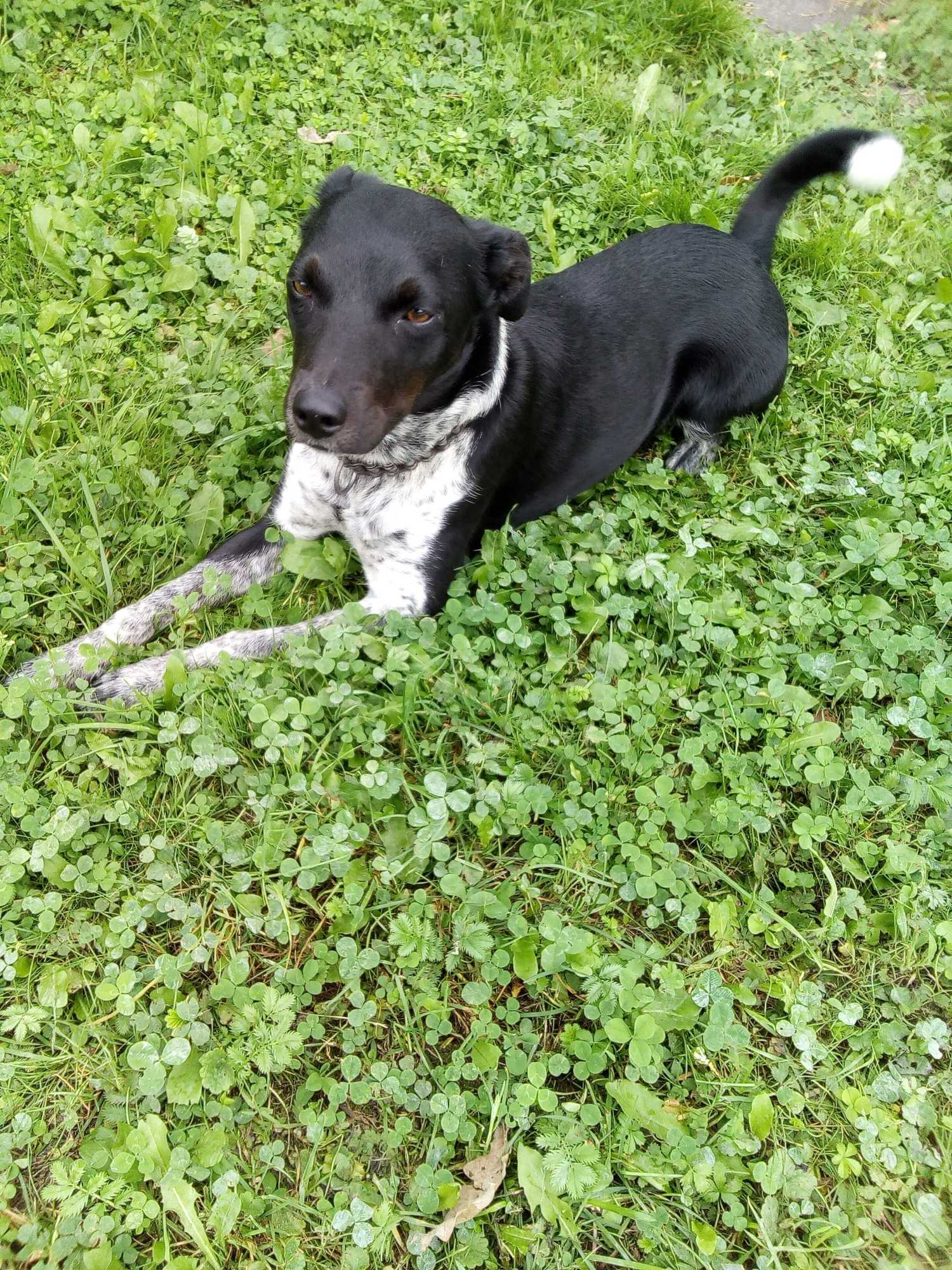 Gift card for Steigmatt Bauernhof - Erlebnis