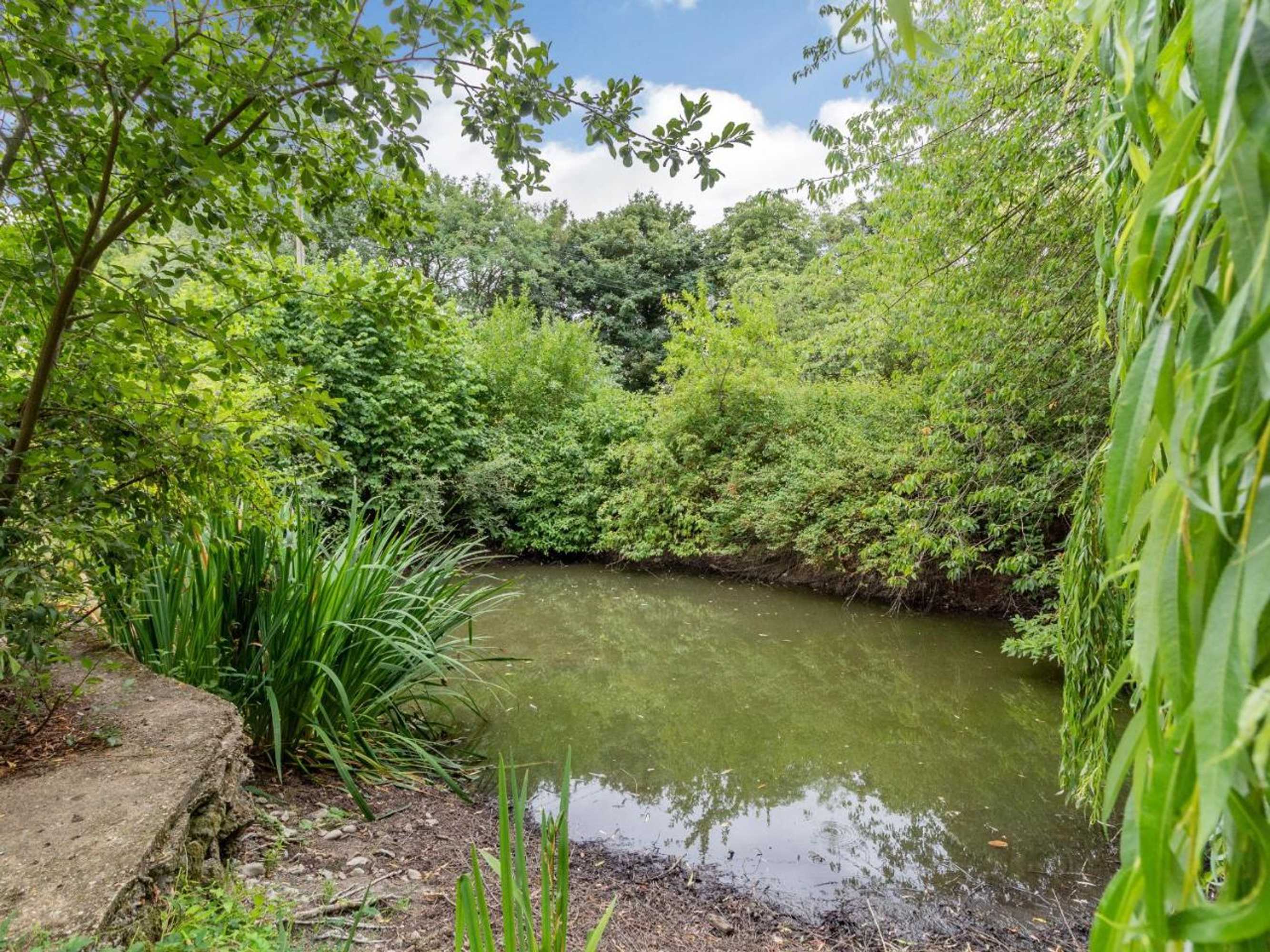 Gift card for The Nest Box