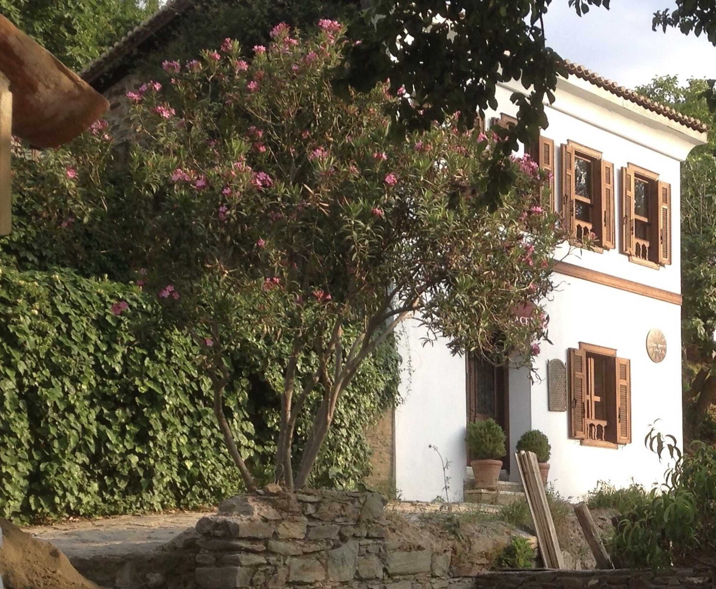 Gift card for Terrace Houses Sirince - Fig, Olive Clockmakers And Grapevine Gift card for Terrace Houses Sirince - Fig, Olive Clockmakers And Grapevine