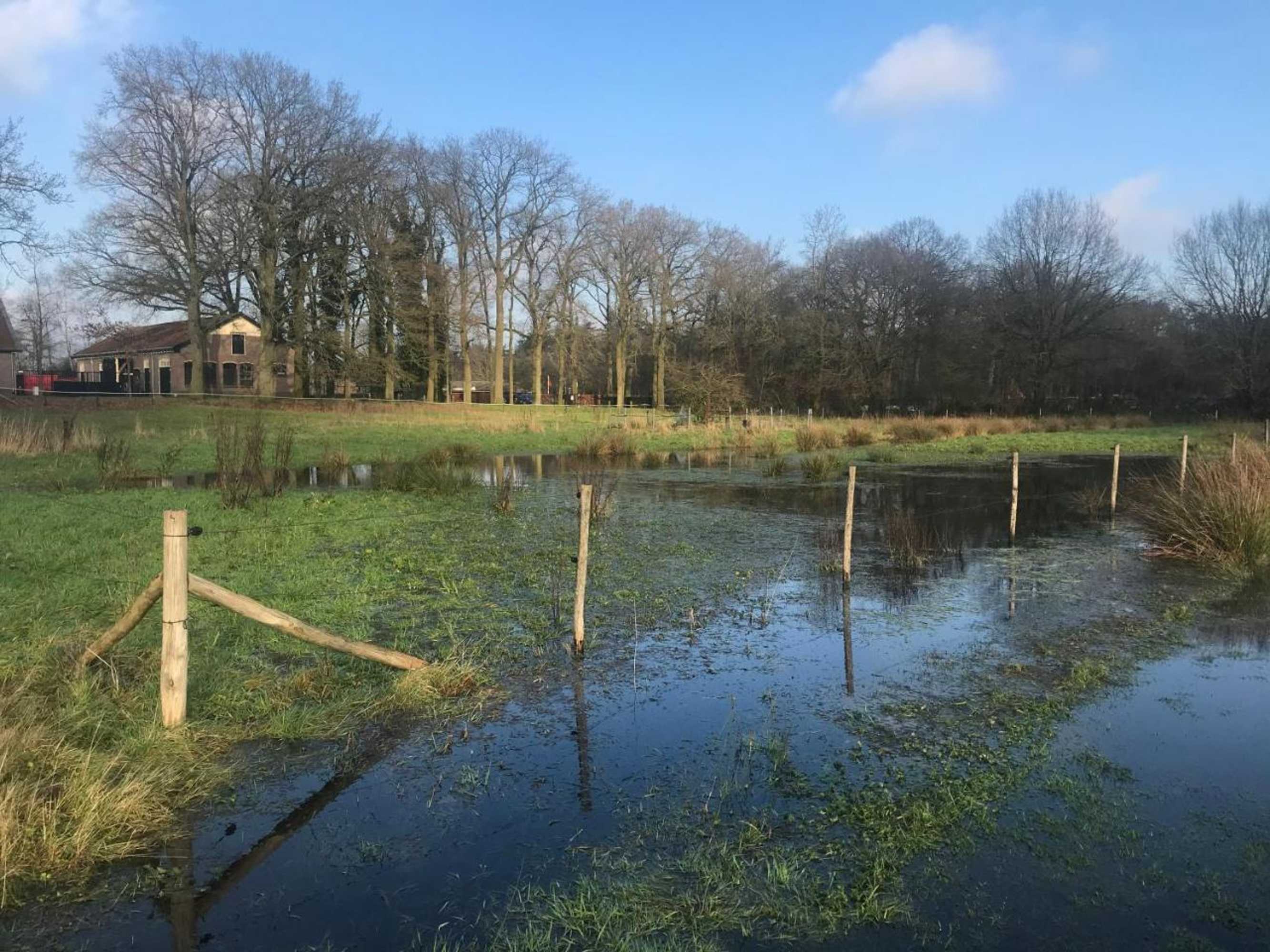 Gift card for The Pool House