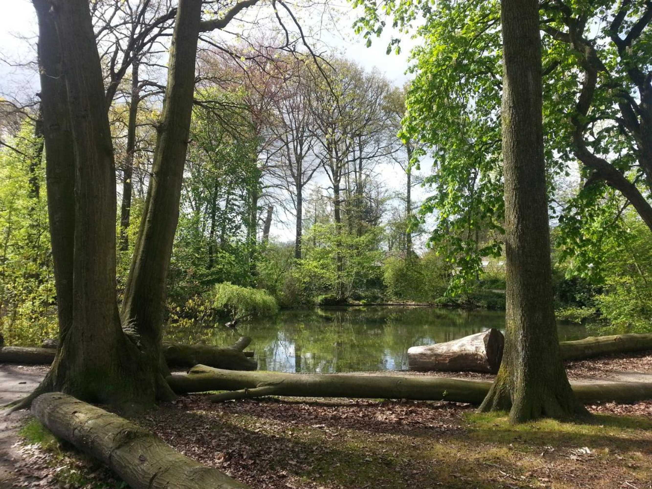 Gift card for B & B De Pimpelmees