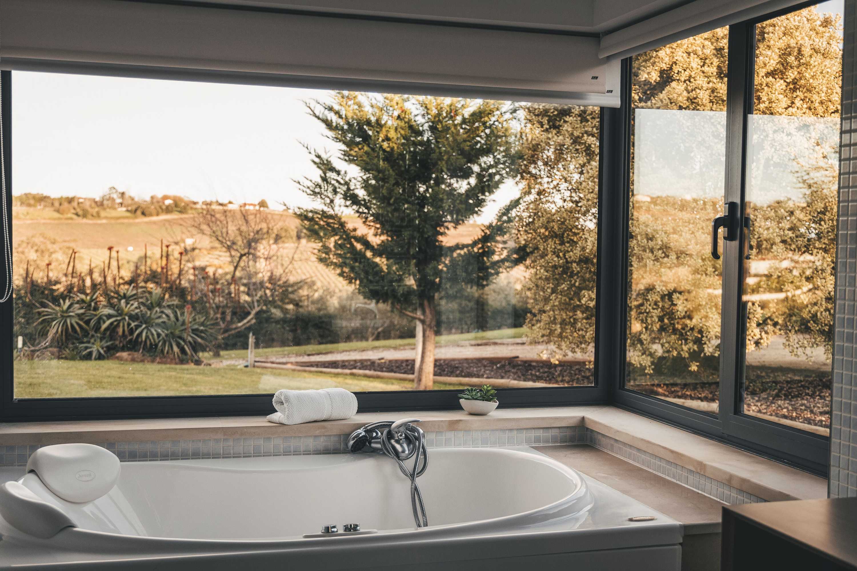 Gift card for Vale Pisco