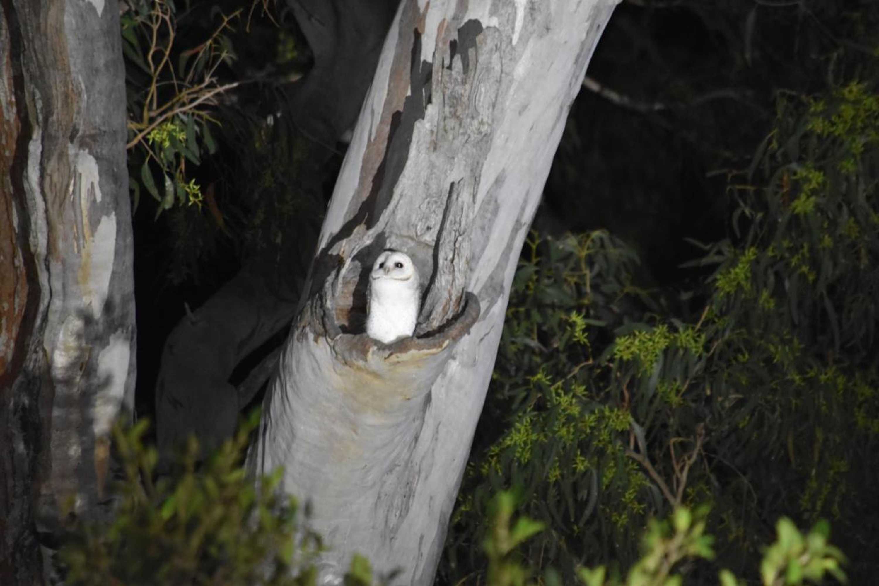 Gift card for Mapleton Springs