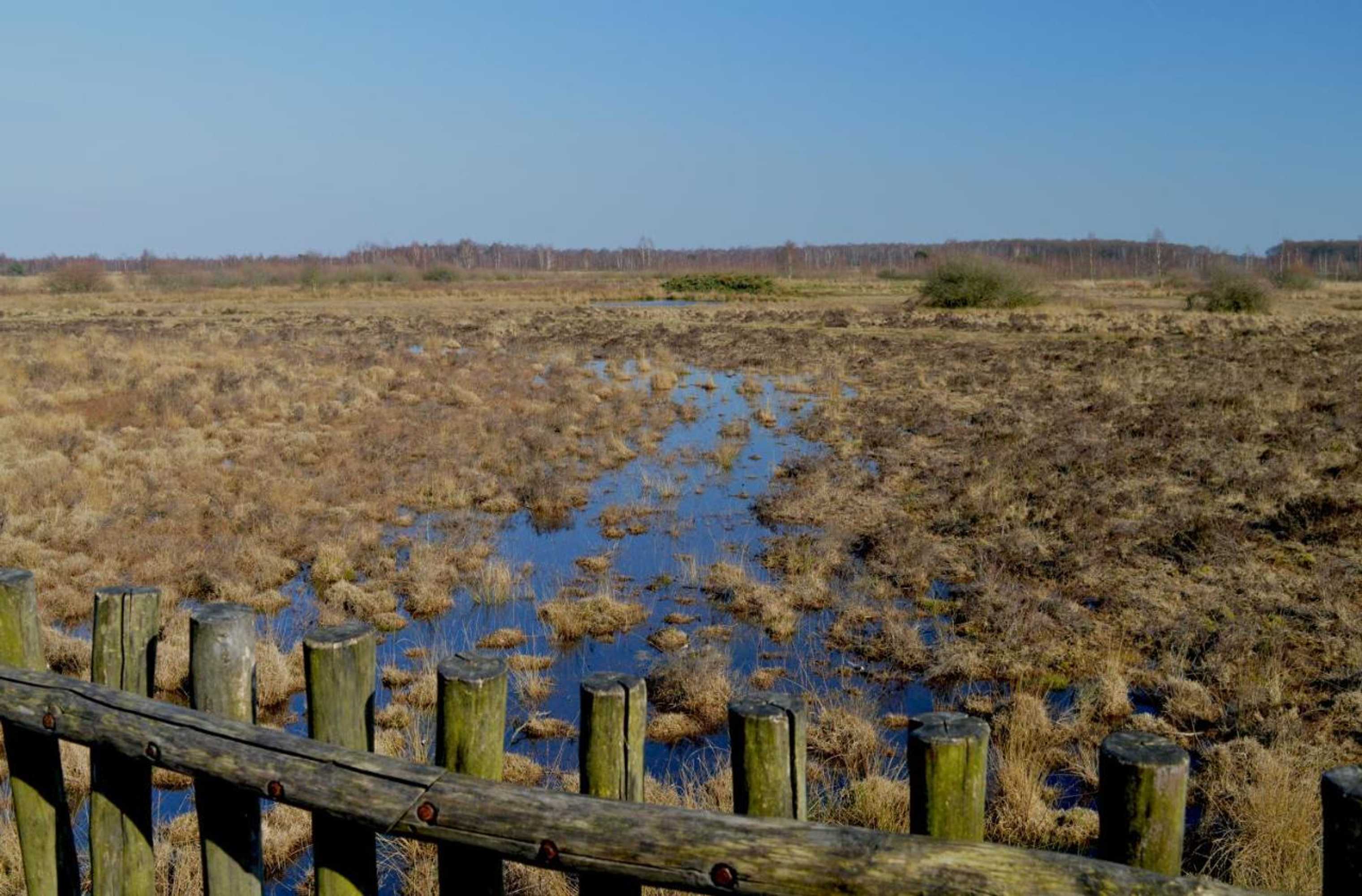 Gift card for Bed & Breakfast Maryland