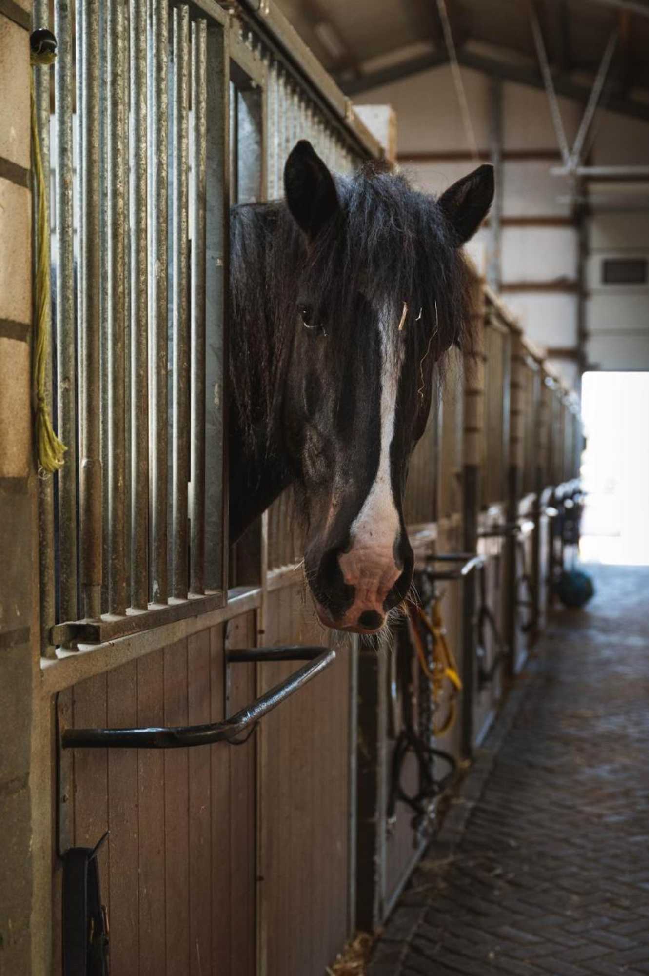 Gift card for Hotel Restaurant D'n Dries