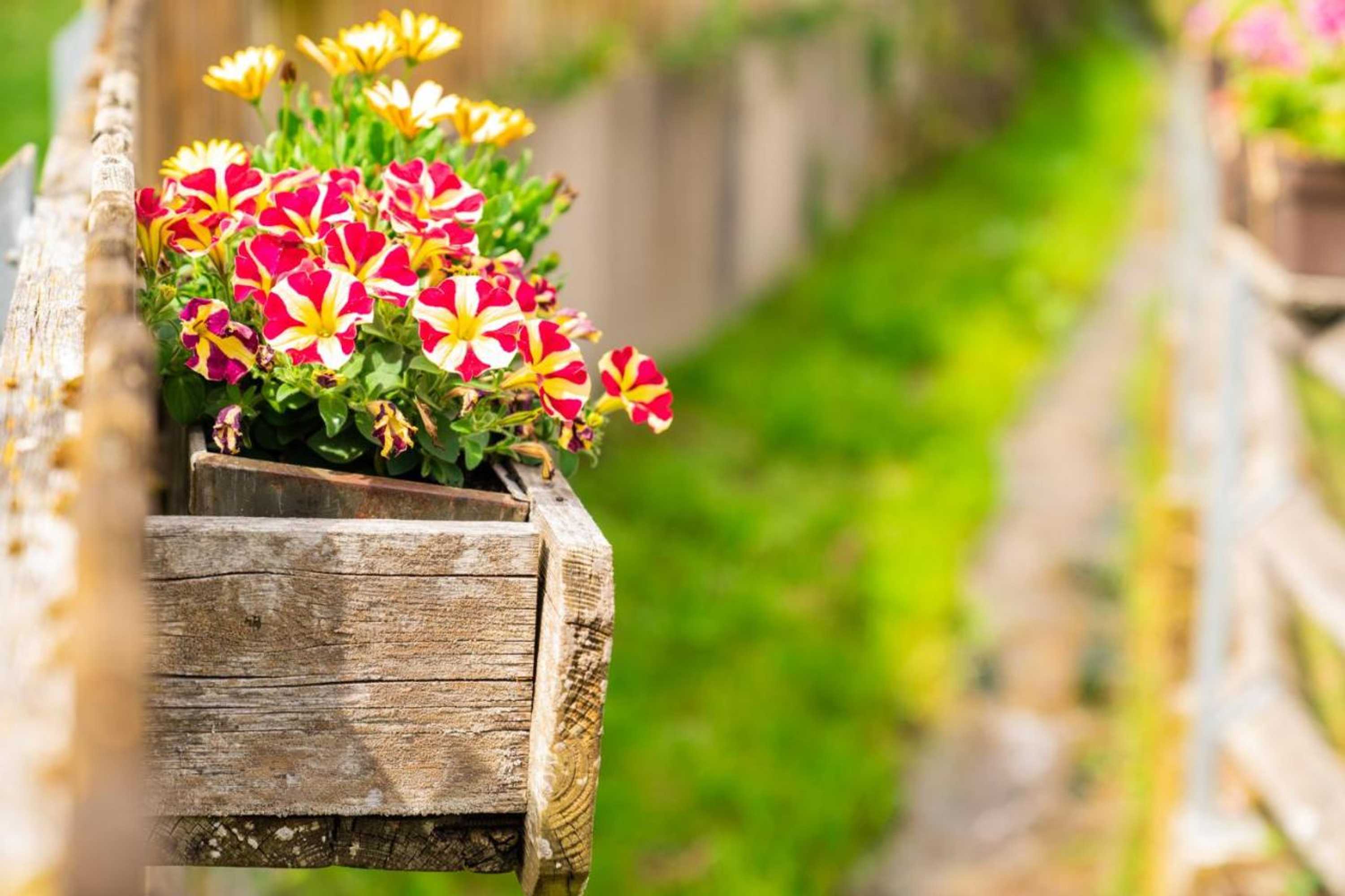 Gift card for Gengs Linde