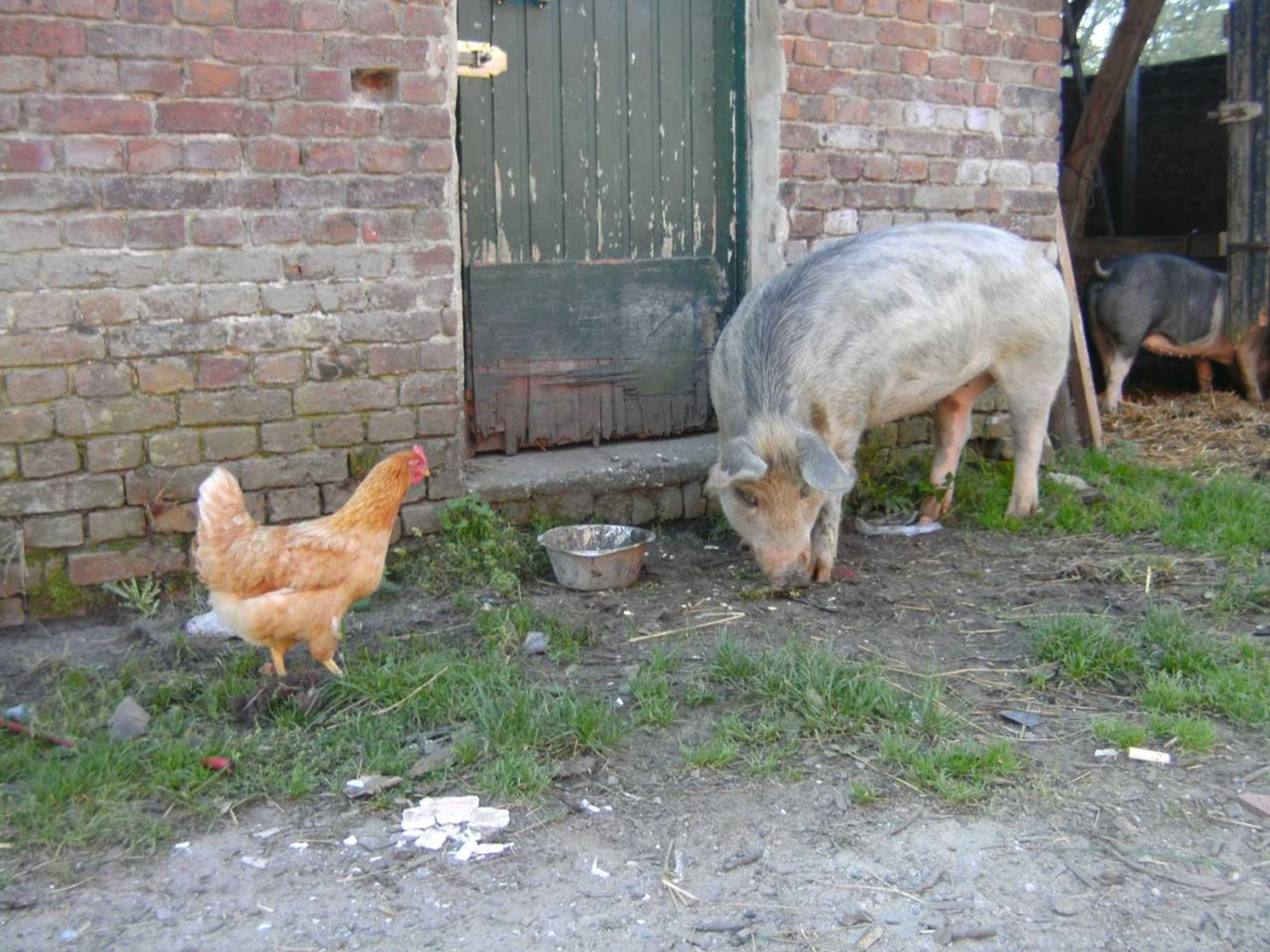 Gift card for Farm Stay Luythoeve