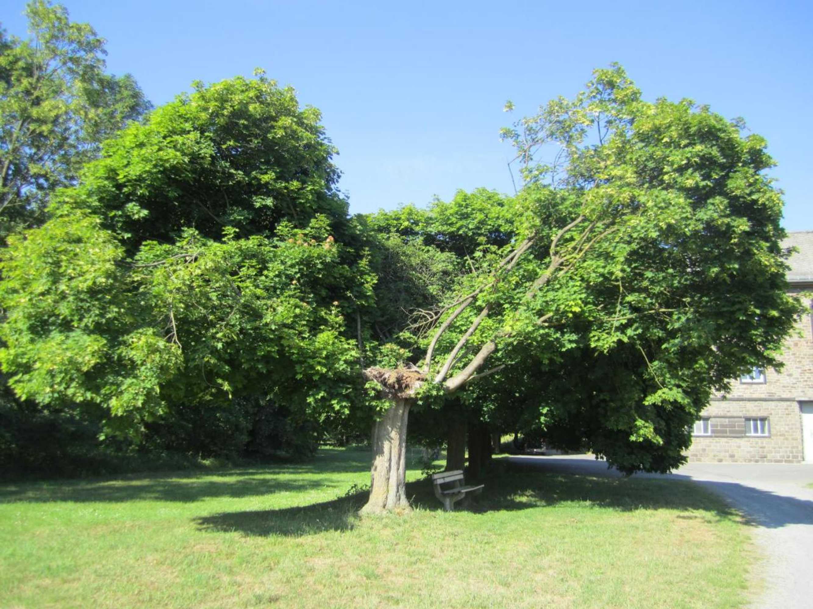 Gift card for Ferienwohnung Erlenhof