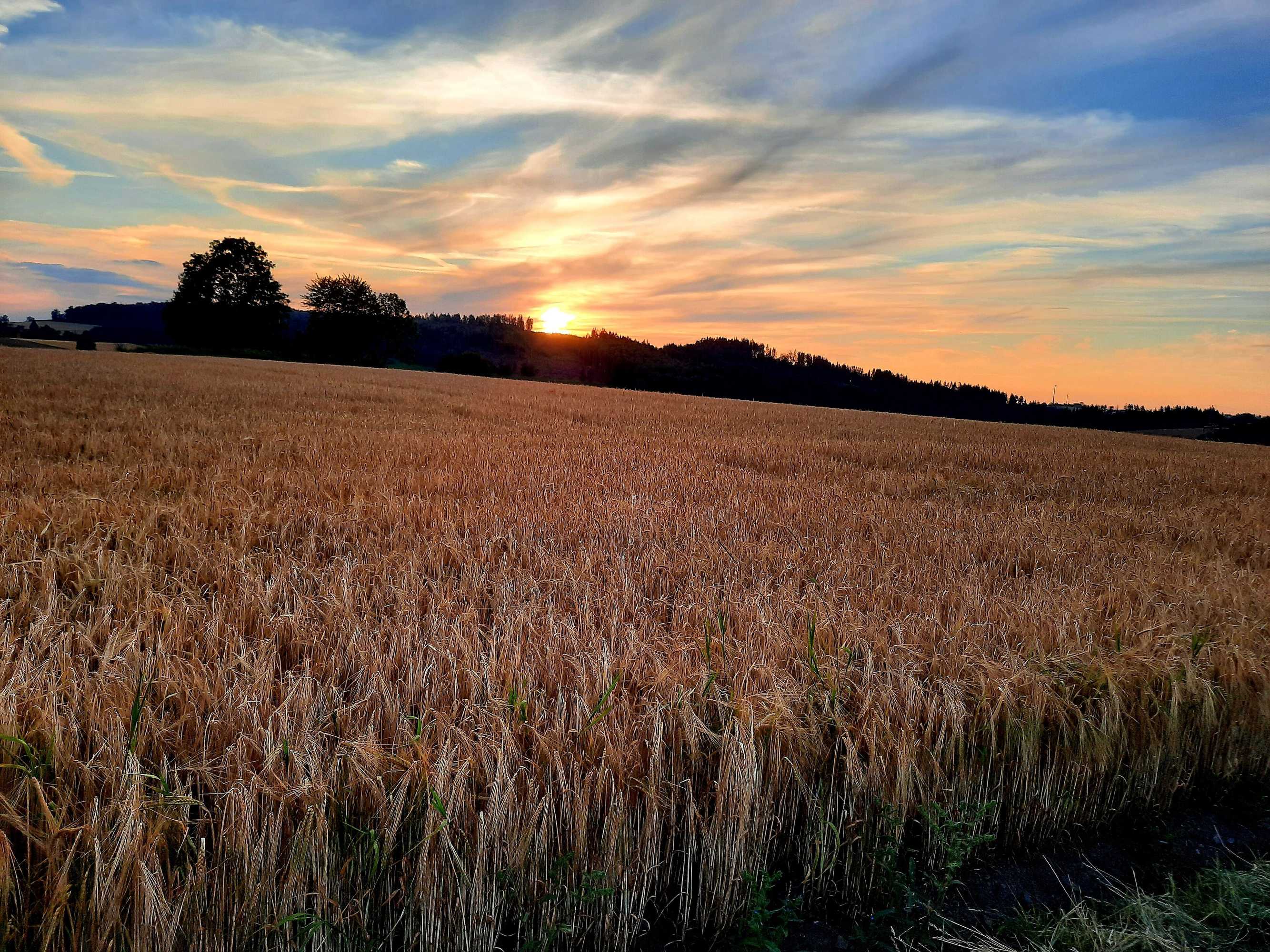 Gift card for Pension Hofer