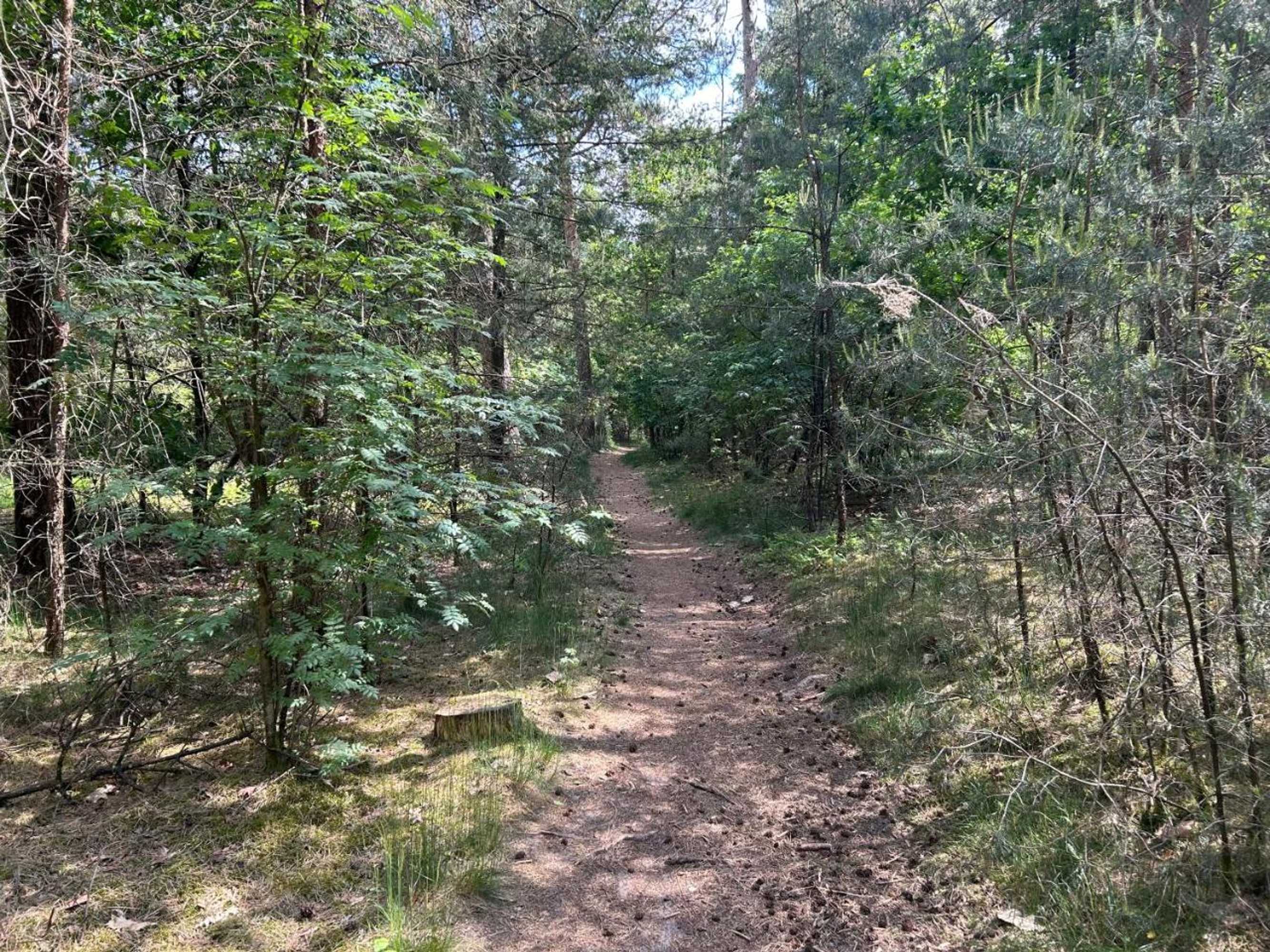 Gift card for Bed&breakfast Kamersven