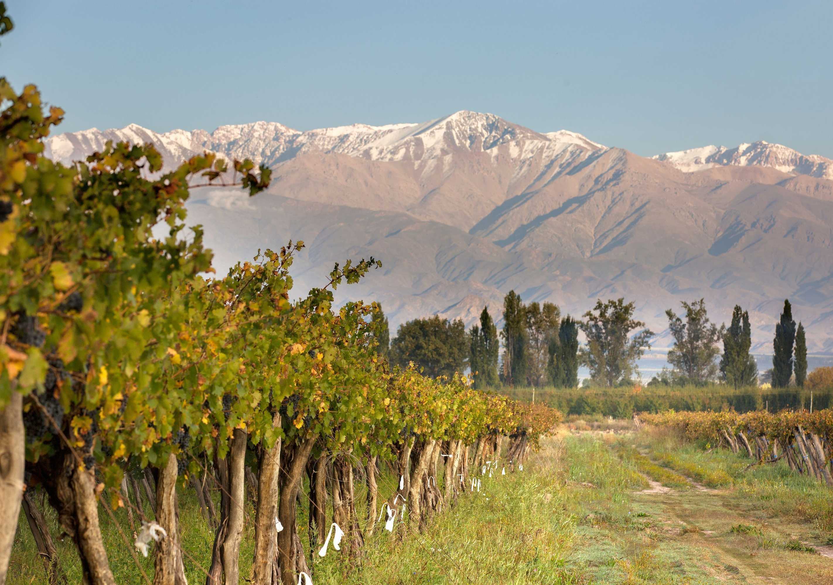 Gift card for Postales by Dot Boutique