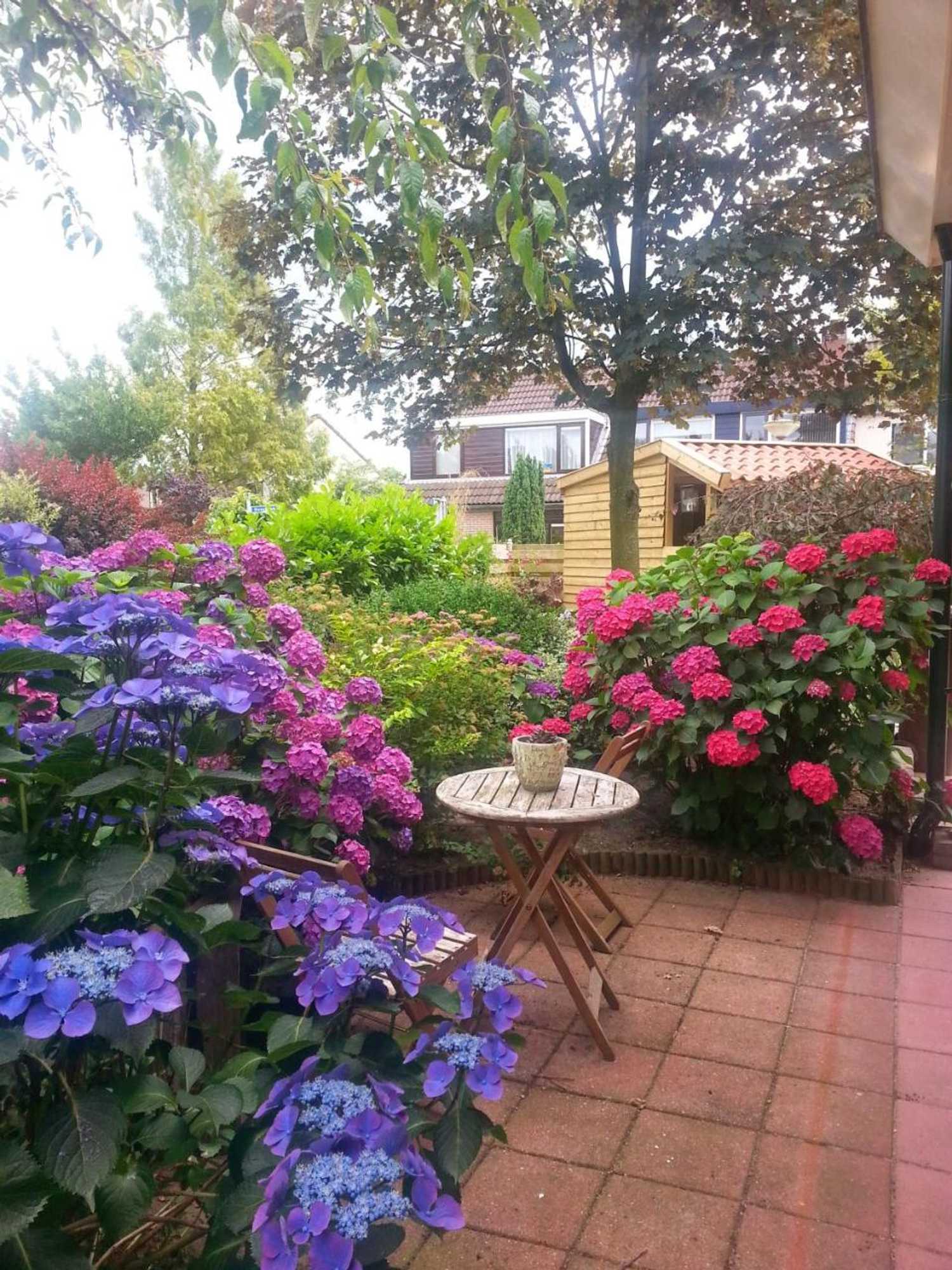 Gift card for Bed & Breakfast de Vrijheid