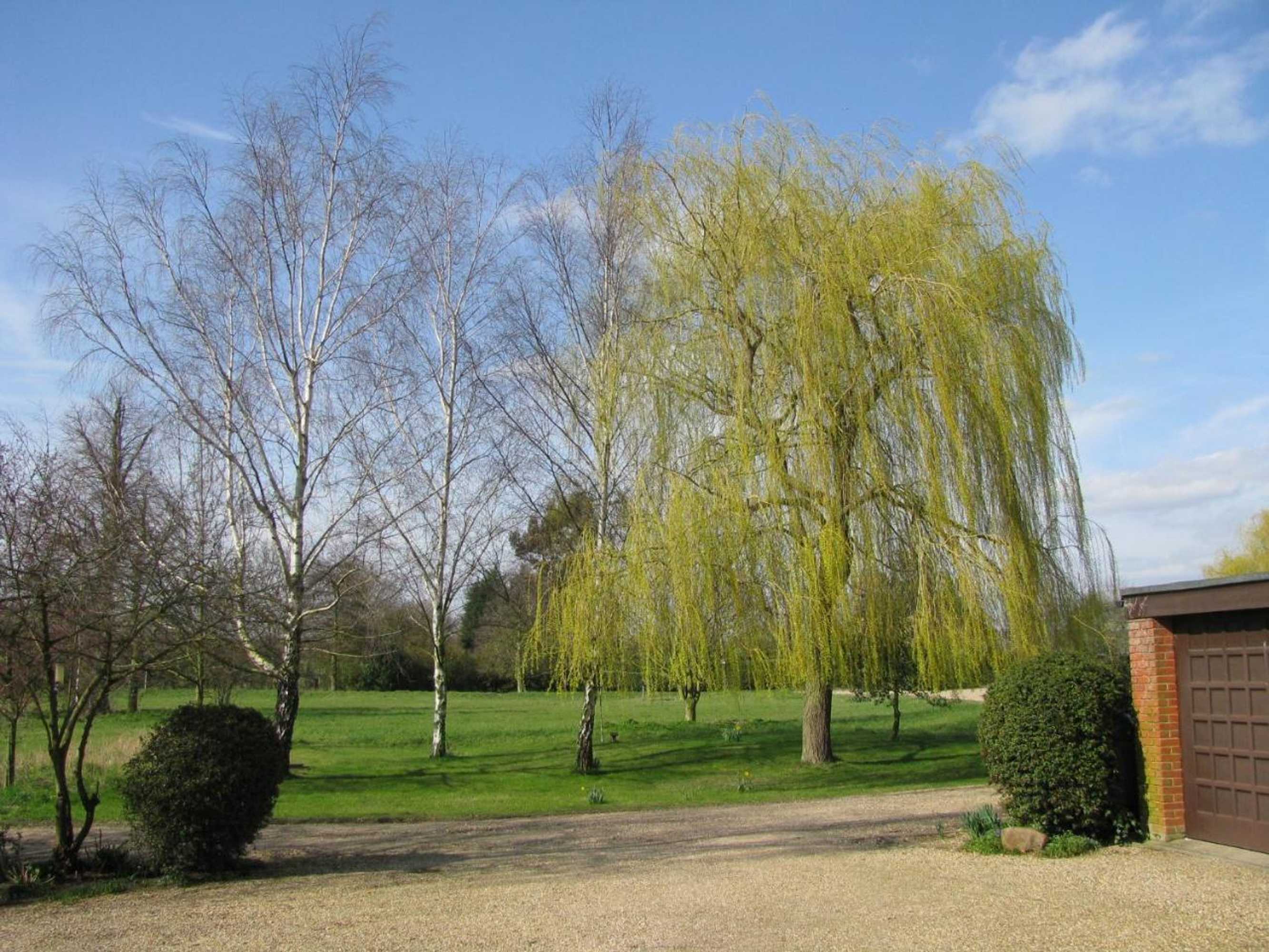 Gift card for B&b The Pippins