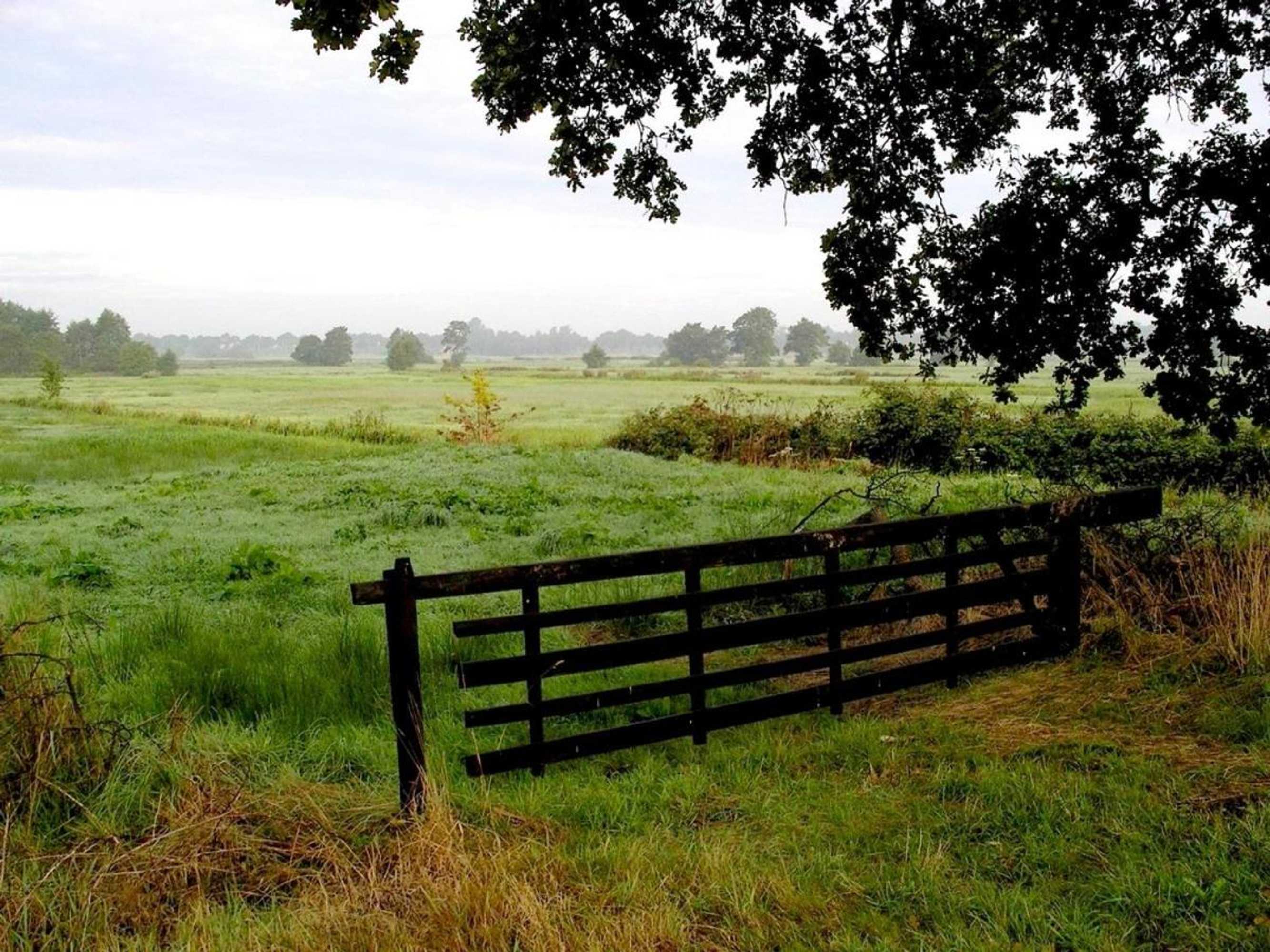 Gift card for Pipowagen