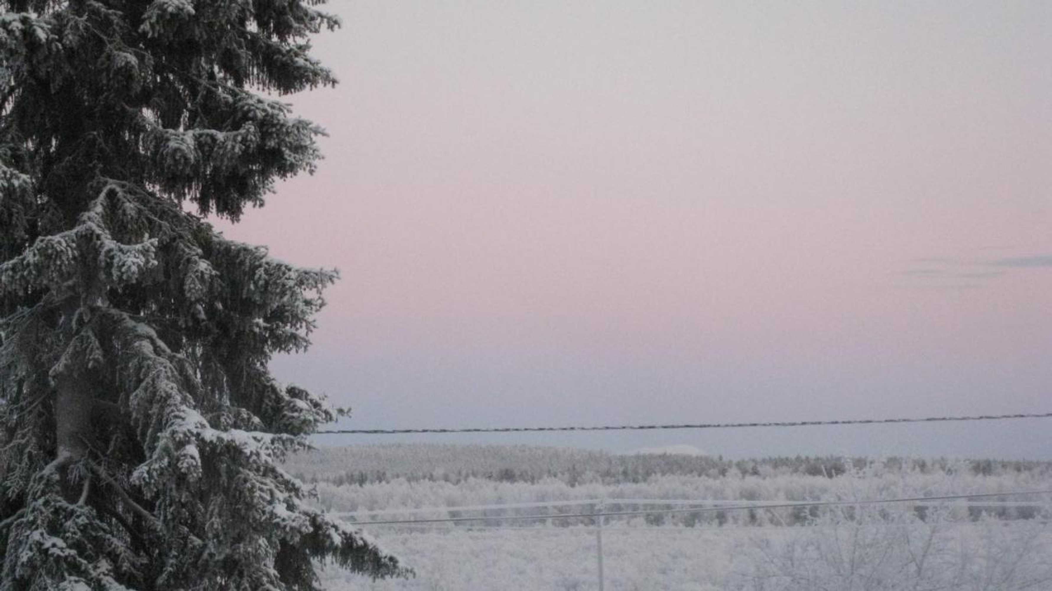 Gift card for Guesthouse Golden Goose