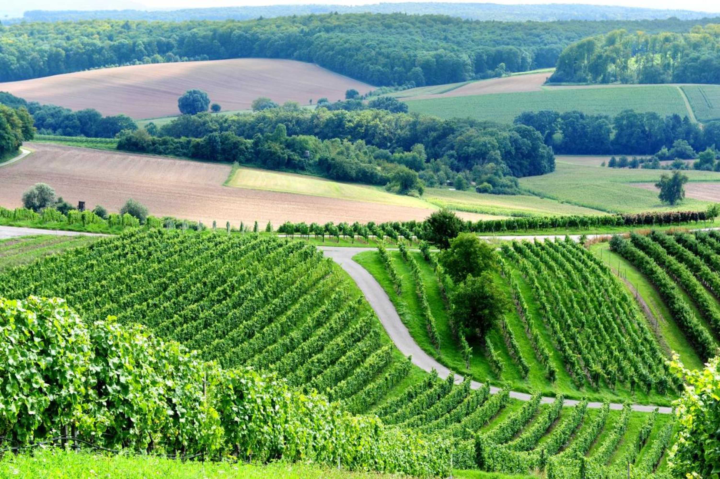 Gift card for Heitlinger Hof