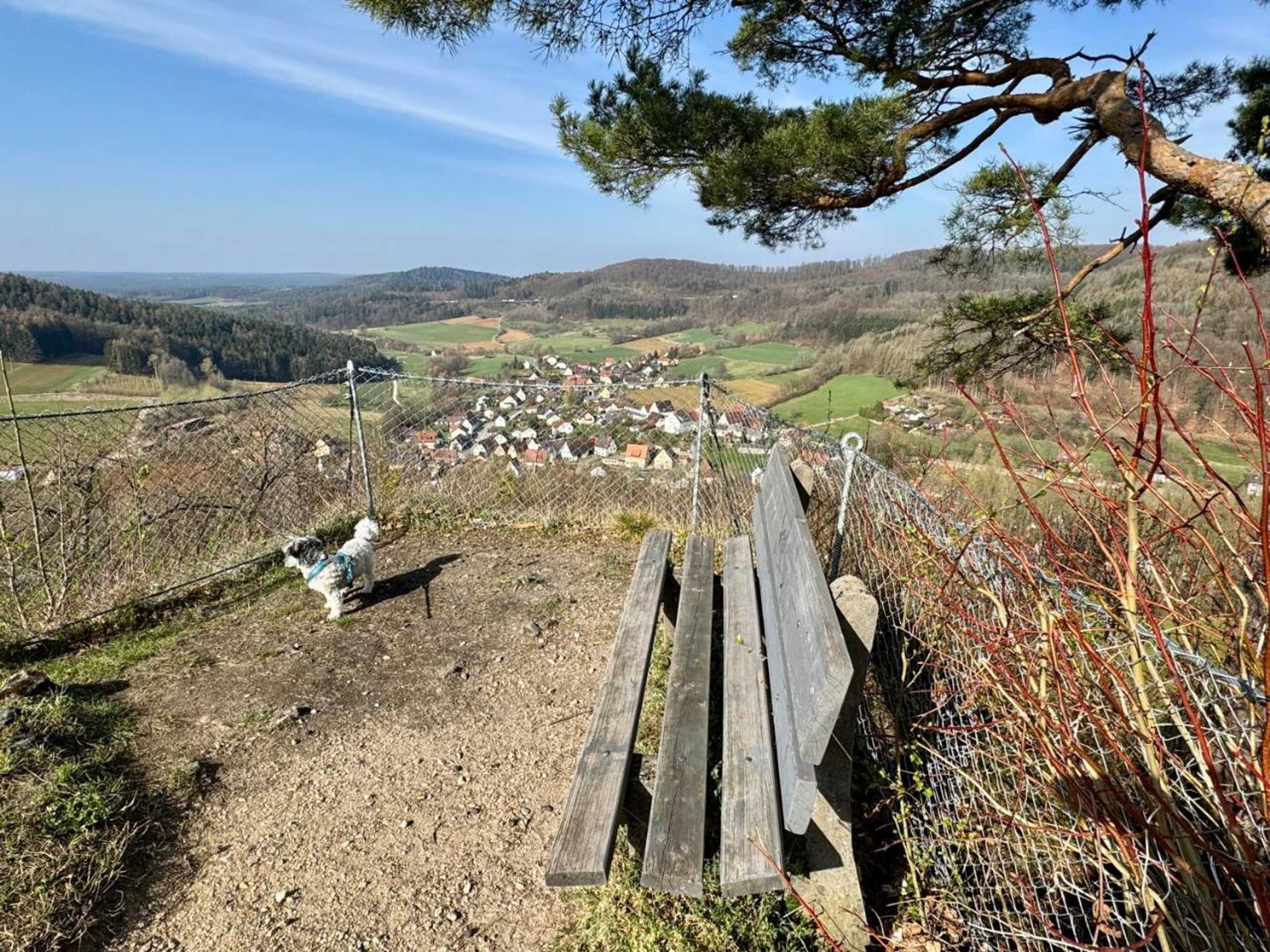Gift card for Berggasthof Hotel Igelwirt