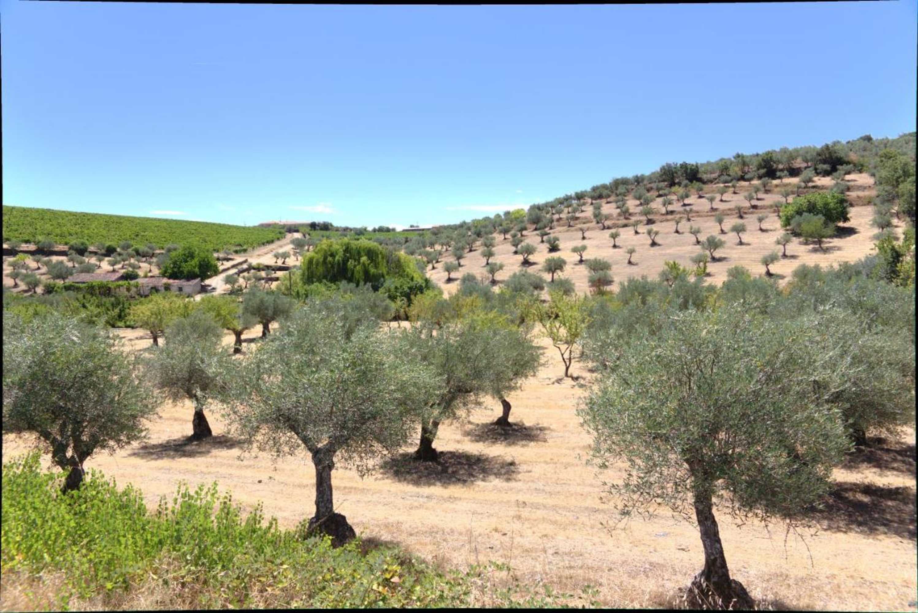 Gift card for Casa Das Aguas Ferreas